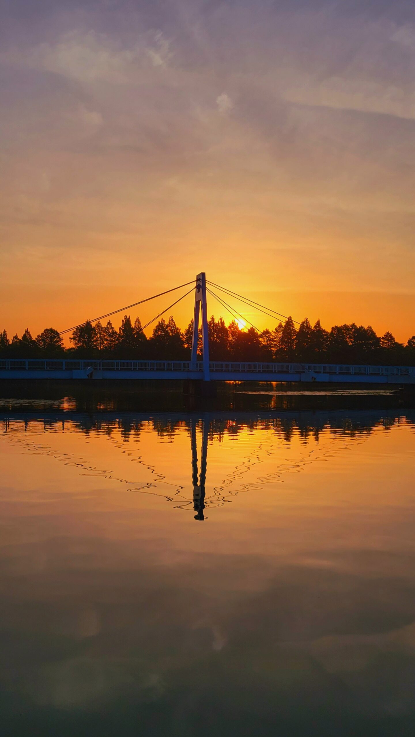 水元公園にて、「水元公園の秘密!朝日のリフレクションが織りなす静寂の美」と感じた写真です。