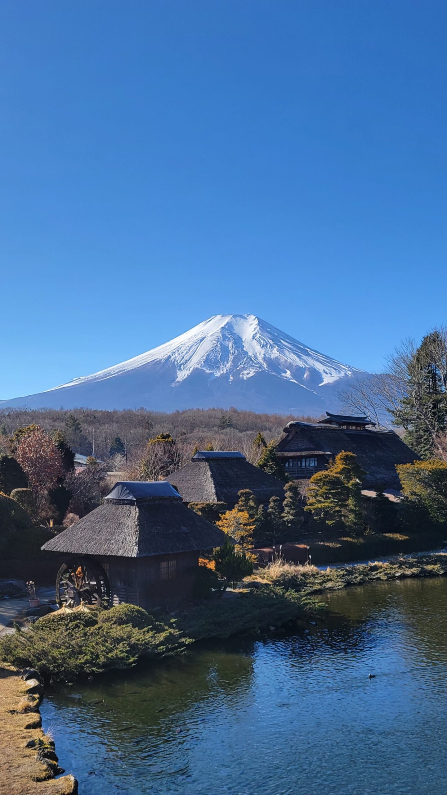 忍野八海にて、「神秘!富士山を望む美しき湧水の楽園」と感じた写真です。