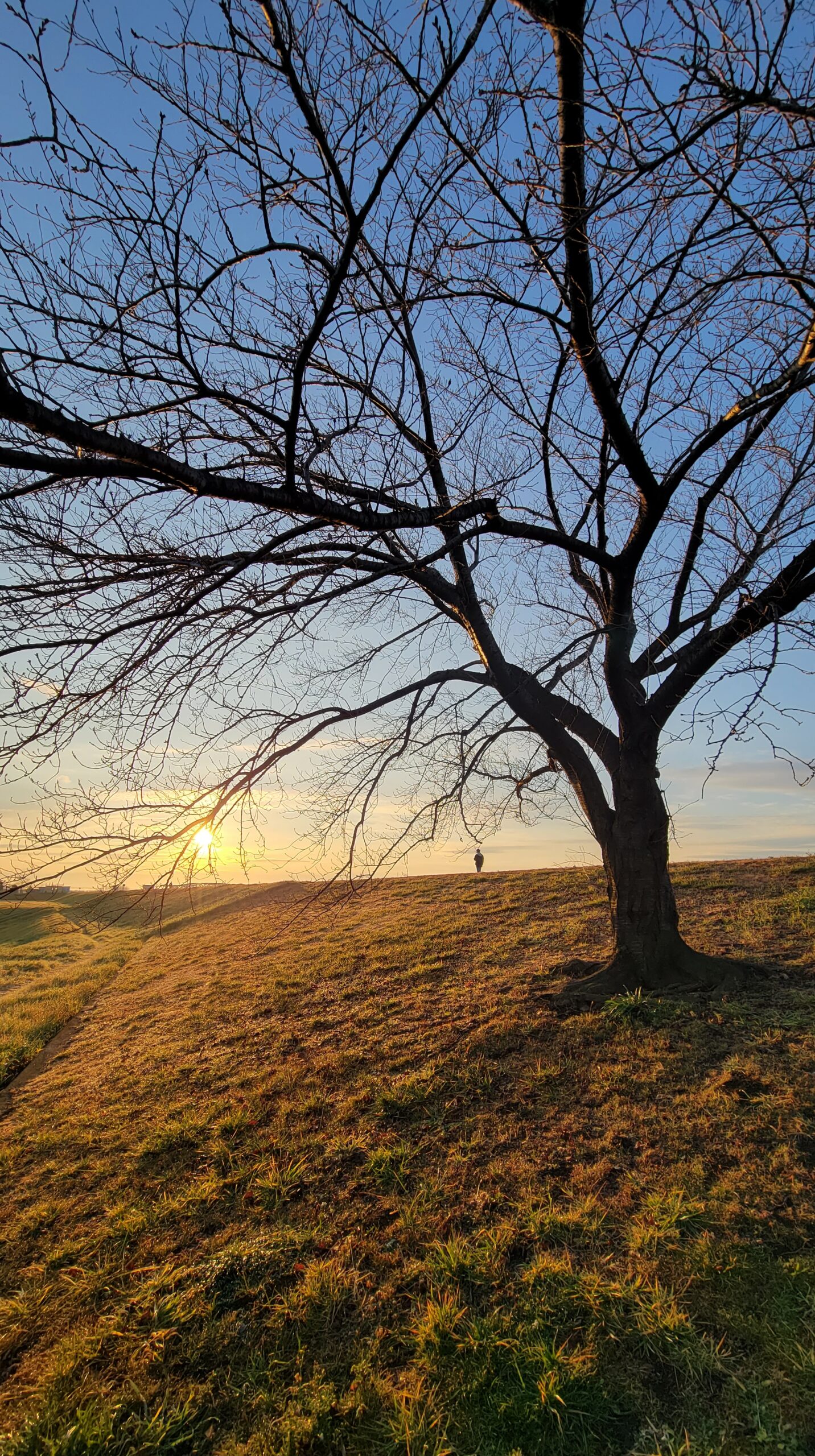 荒川土手にて、「荒川の朝焼け!静寂の中の幻想的な風景」と感じた写真です。