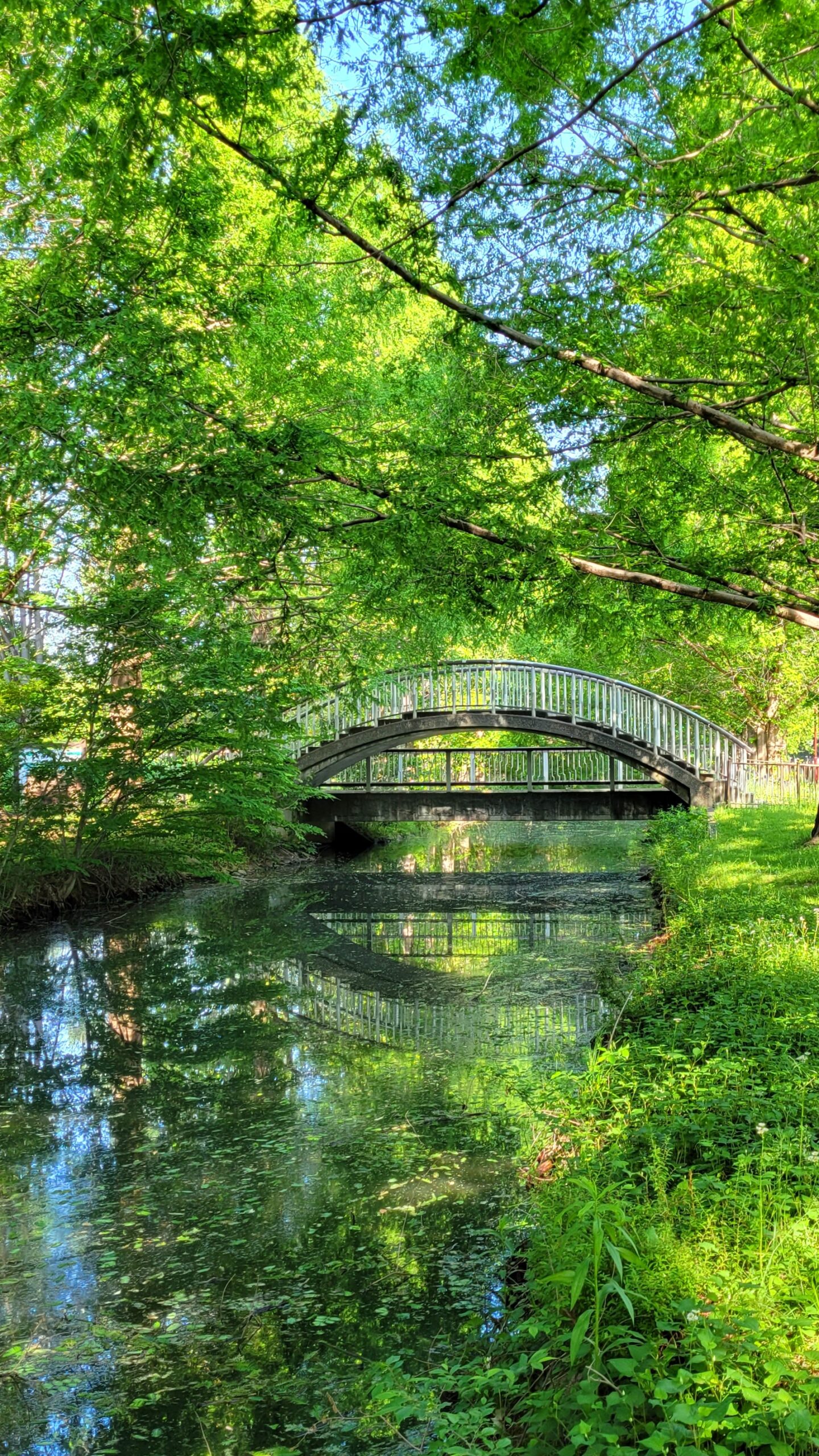 加須はなさき公園にて、「春の息吹を感じるメタセコイア並木道 - 加須はなさき公園の魅力」と感じた写真です。