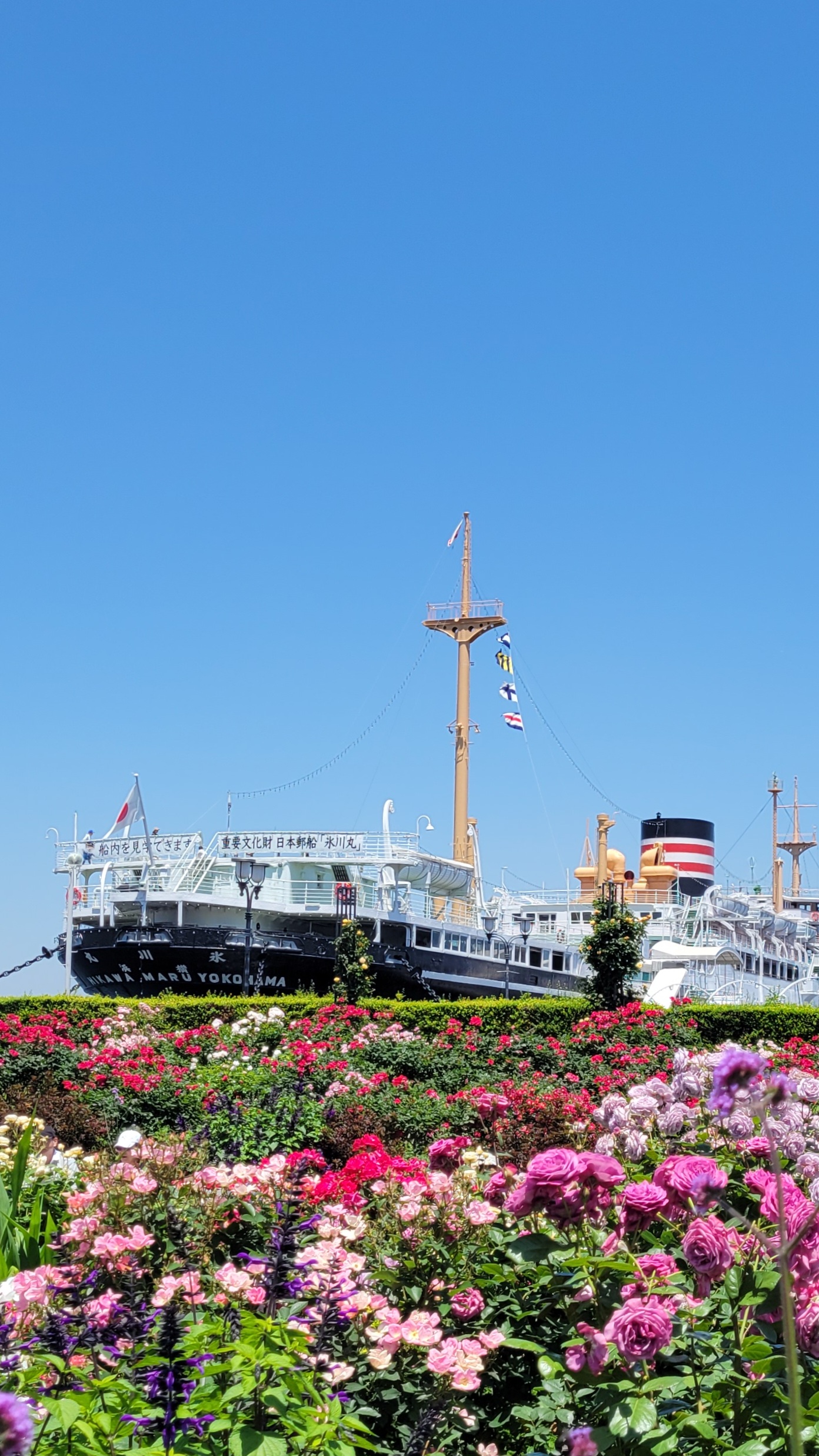 山下公園にて、「横浜の風情を感じる山下公園の薔薇と海景」と感じた写真です。