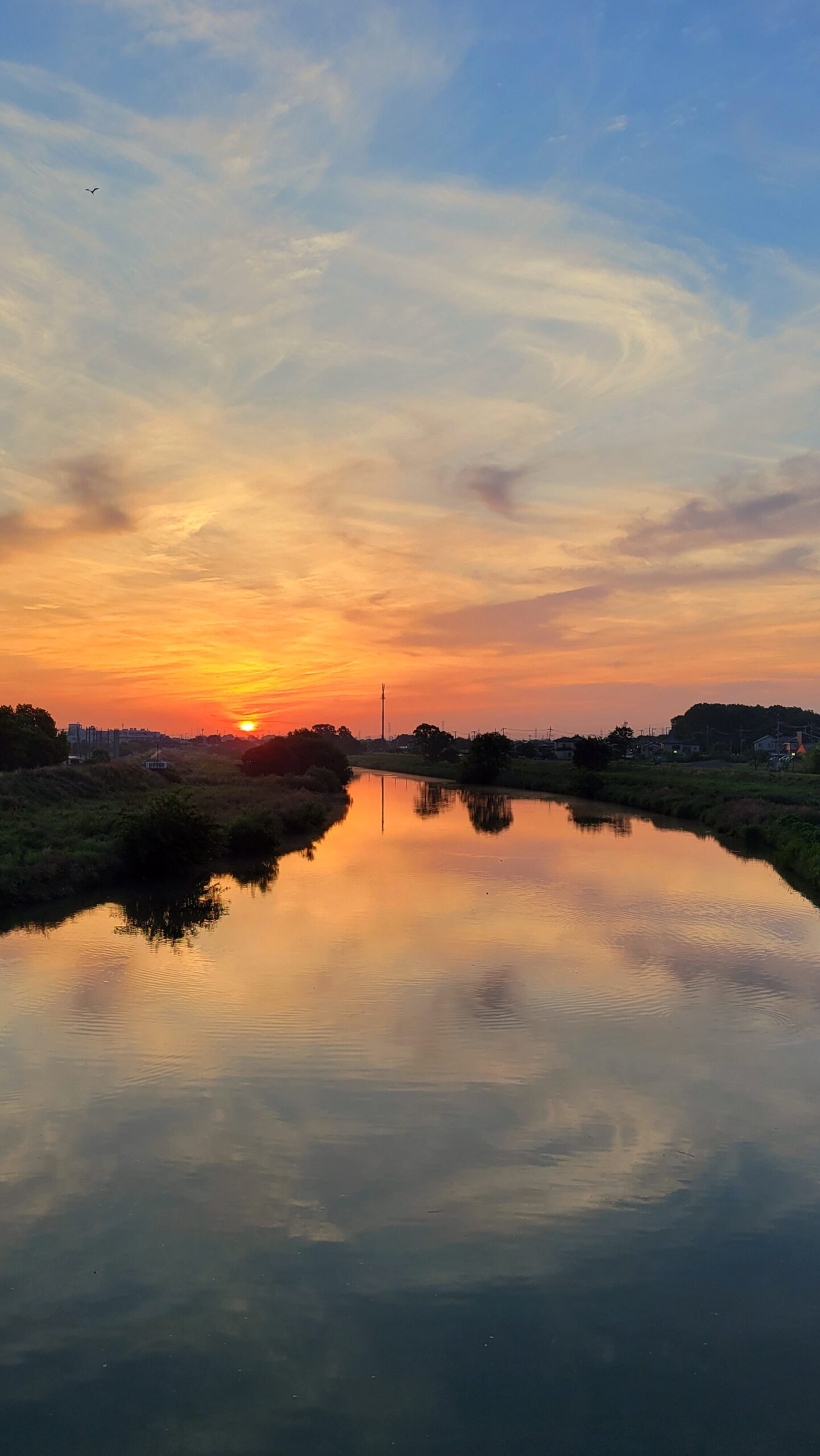 元荒川にて、「水面に映る朝焼けと静寂の美しい風景」と感じた写真です。