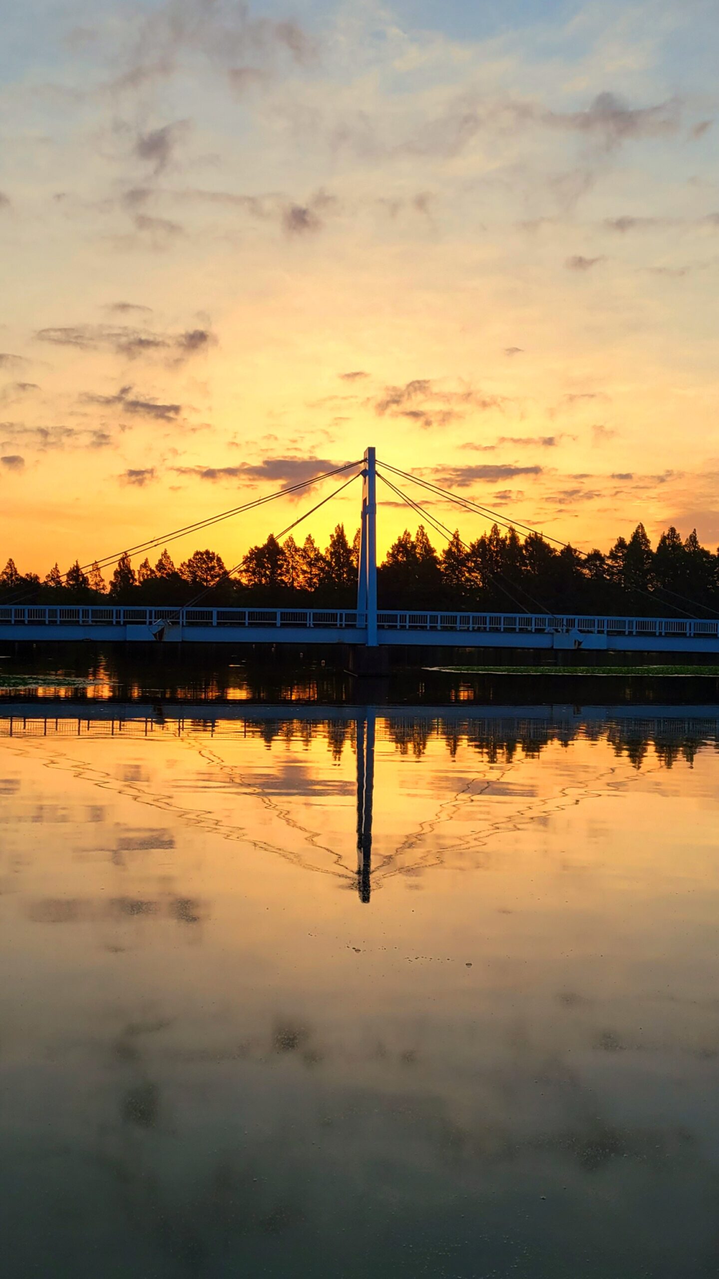 水元公園にて、「朝日に輝くダイヤモンドリフレクションの絶景」と感じた写真です。