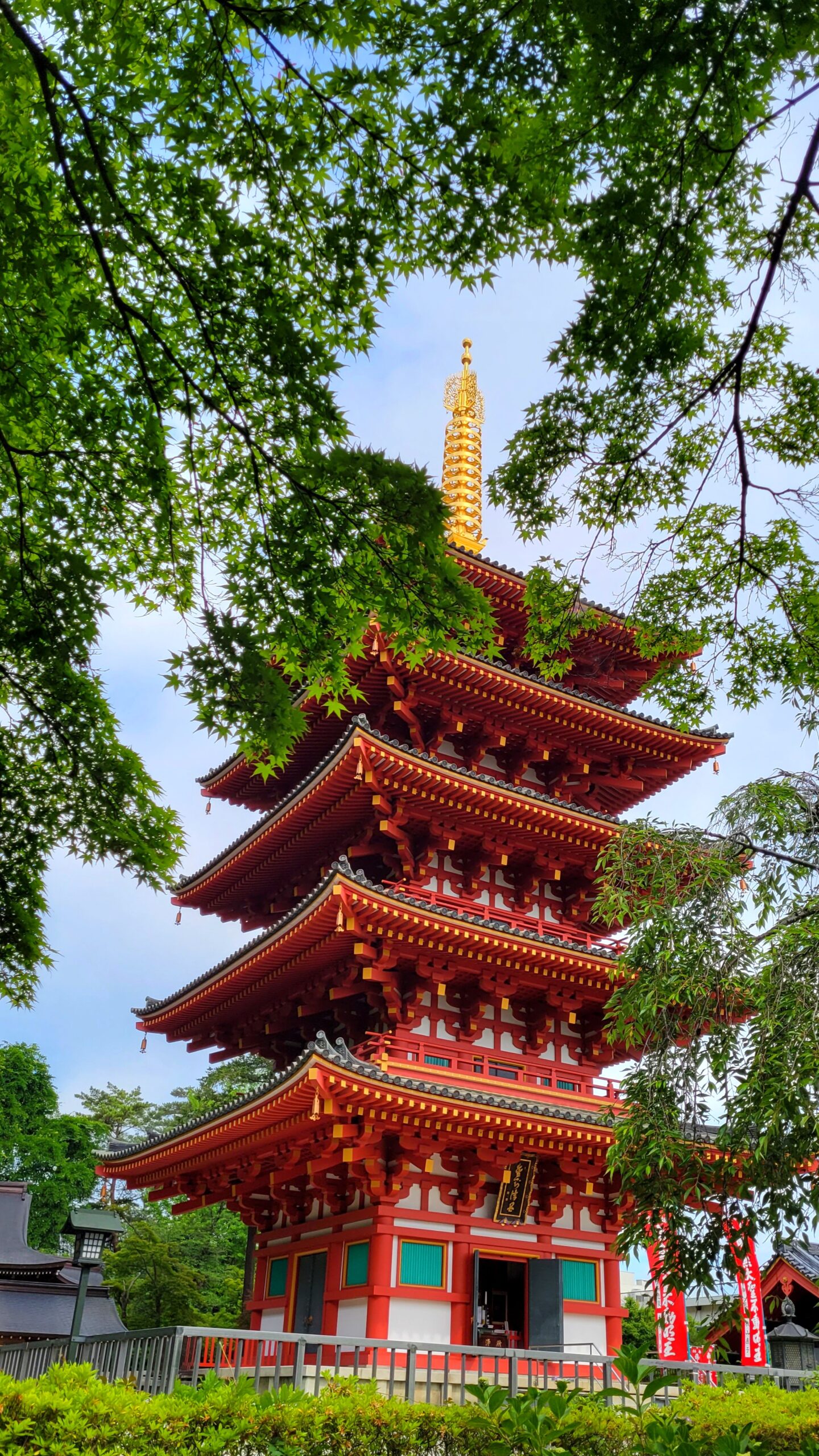 高幡不動尊にて、「新緑のもみじと五重塔の美しい風景」と感じた写真です。
