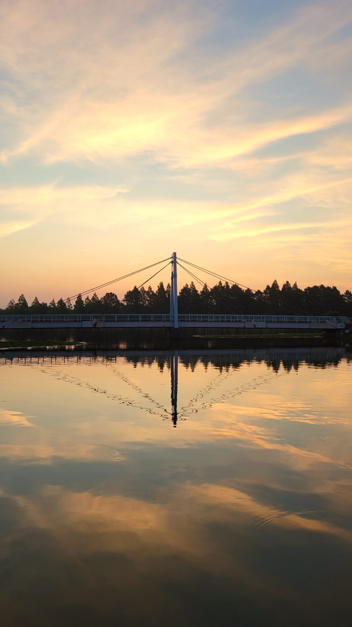 水元公園にて、「ダイヤモンドのような橋と朝日のリフレクション」と感じた写真です。