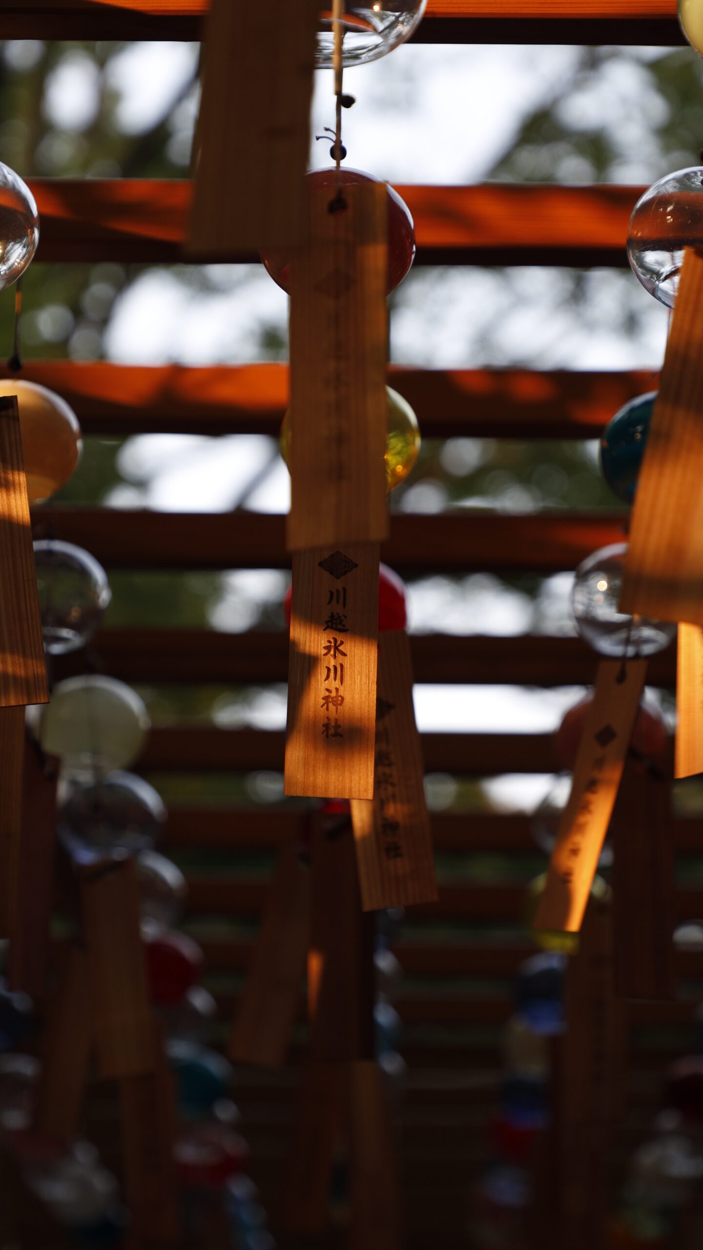 川越氷川神社にて、「夏の癒し川越氷川神社の幻想的な風鈴風景」と感じた写真です。
