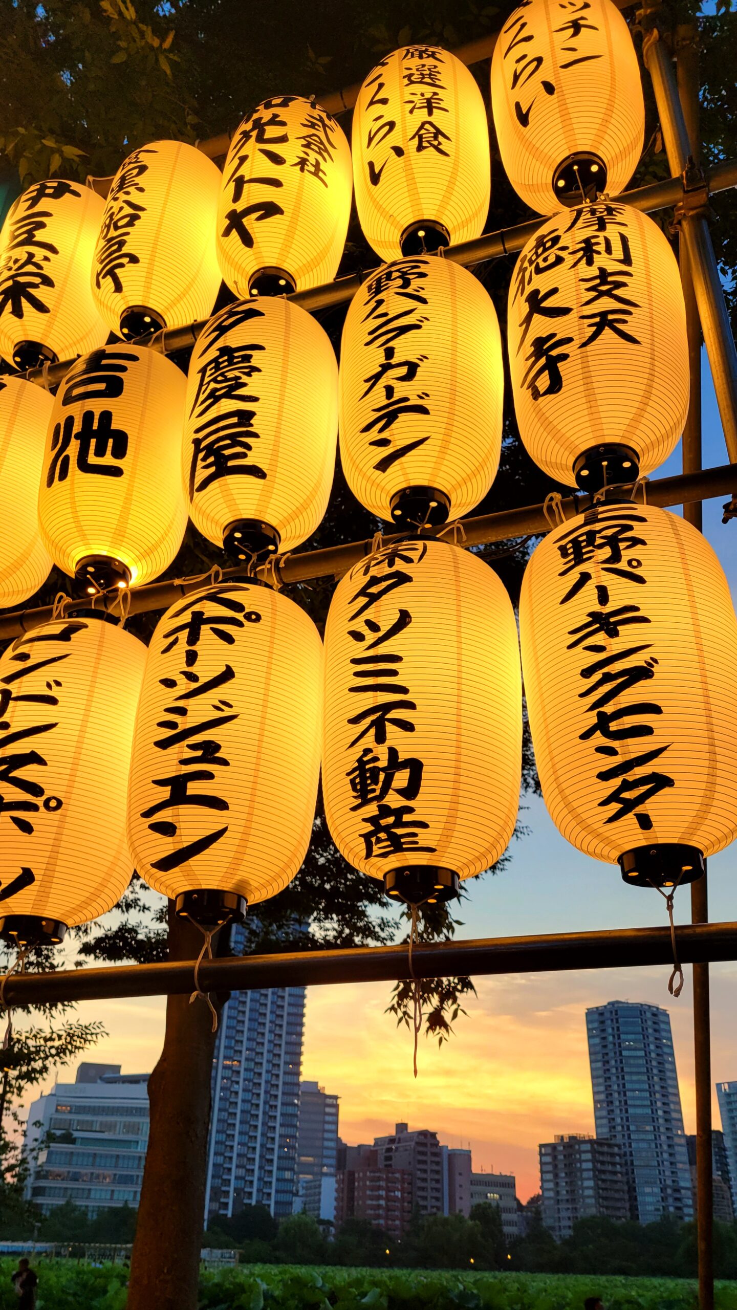 不忍池にて、「提灯と夕焼けが魅せる夏の情景」と感じた写真です。