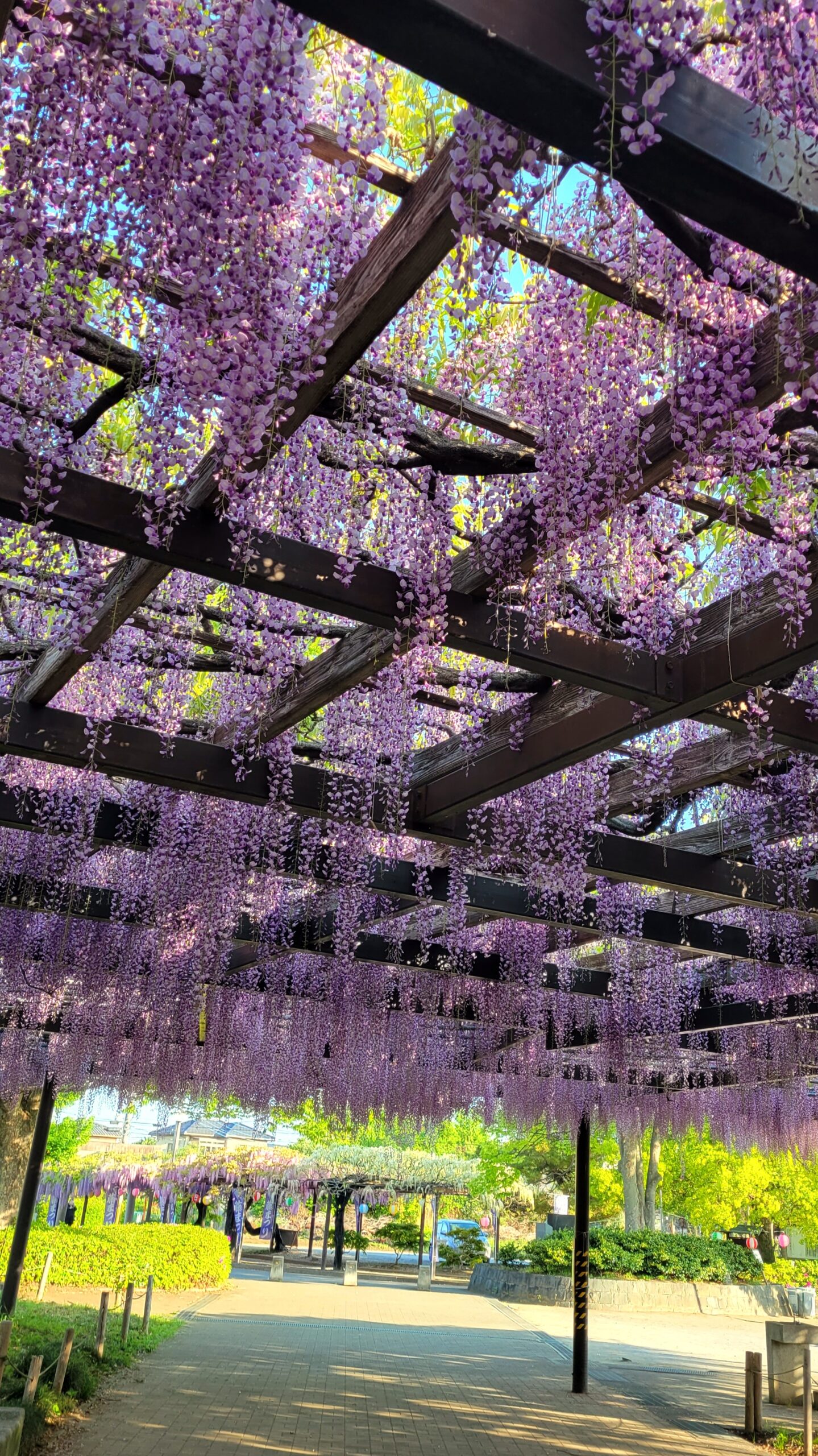 20250427_064002