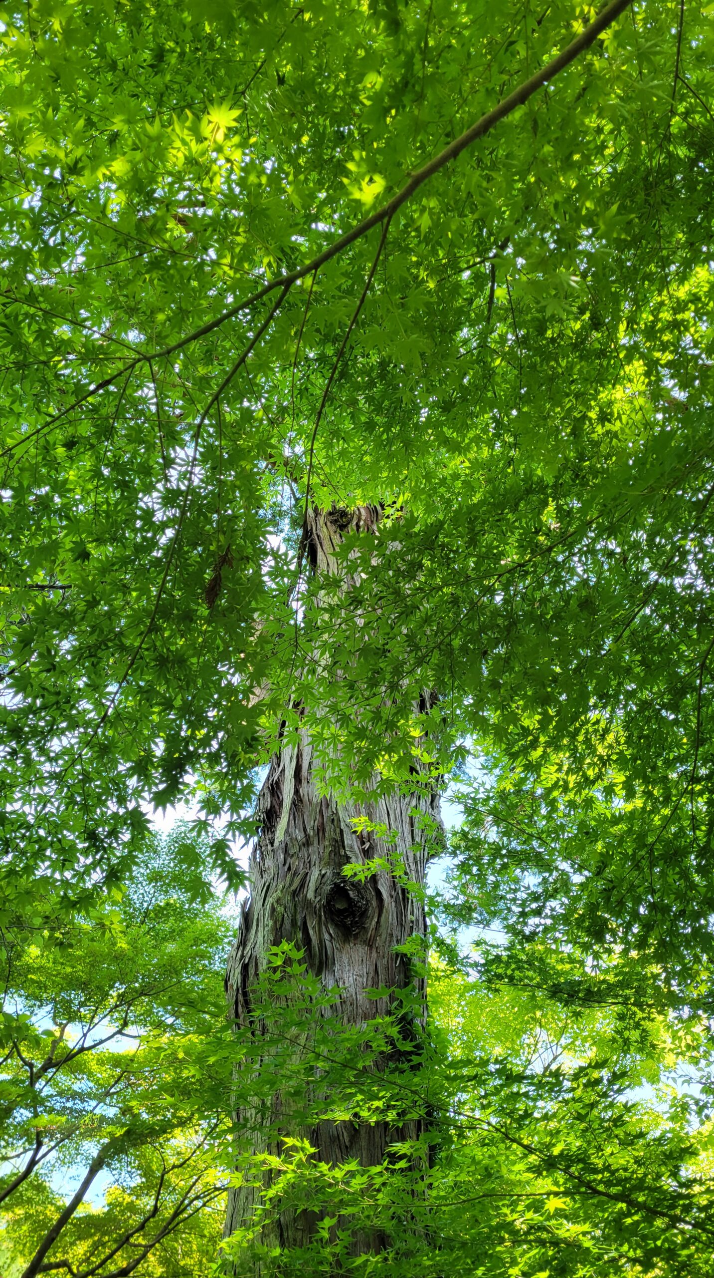 20250601_121034