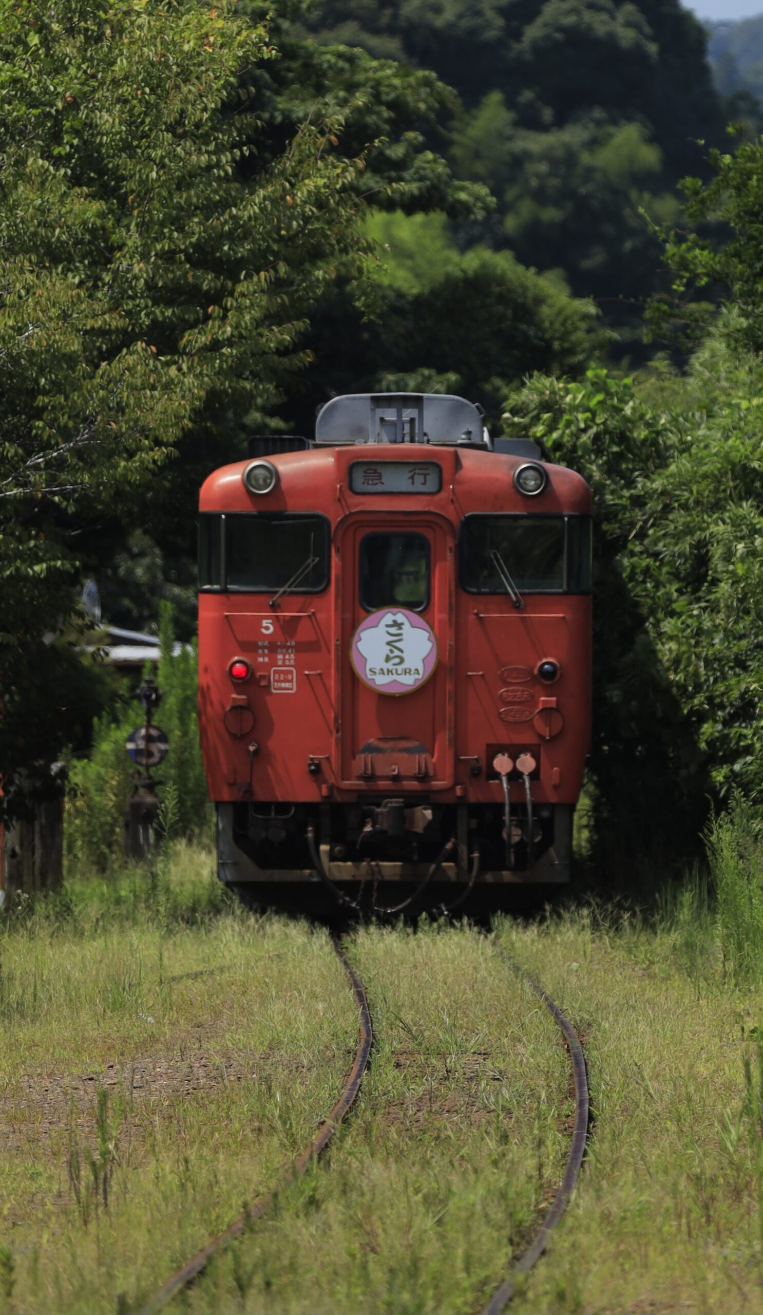 小湊鉄道の上総中野駅で急行電車が走り去る瞬間をとらえた写真