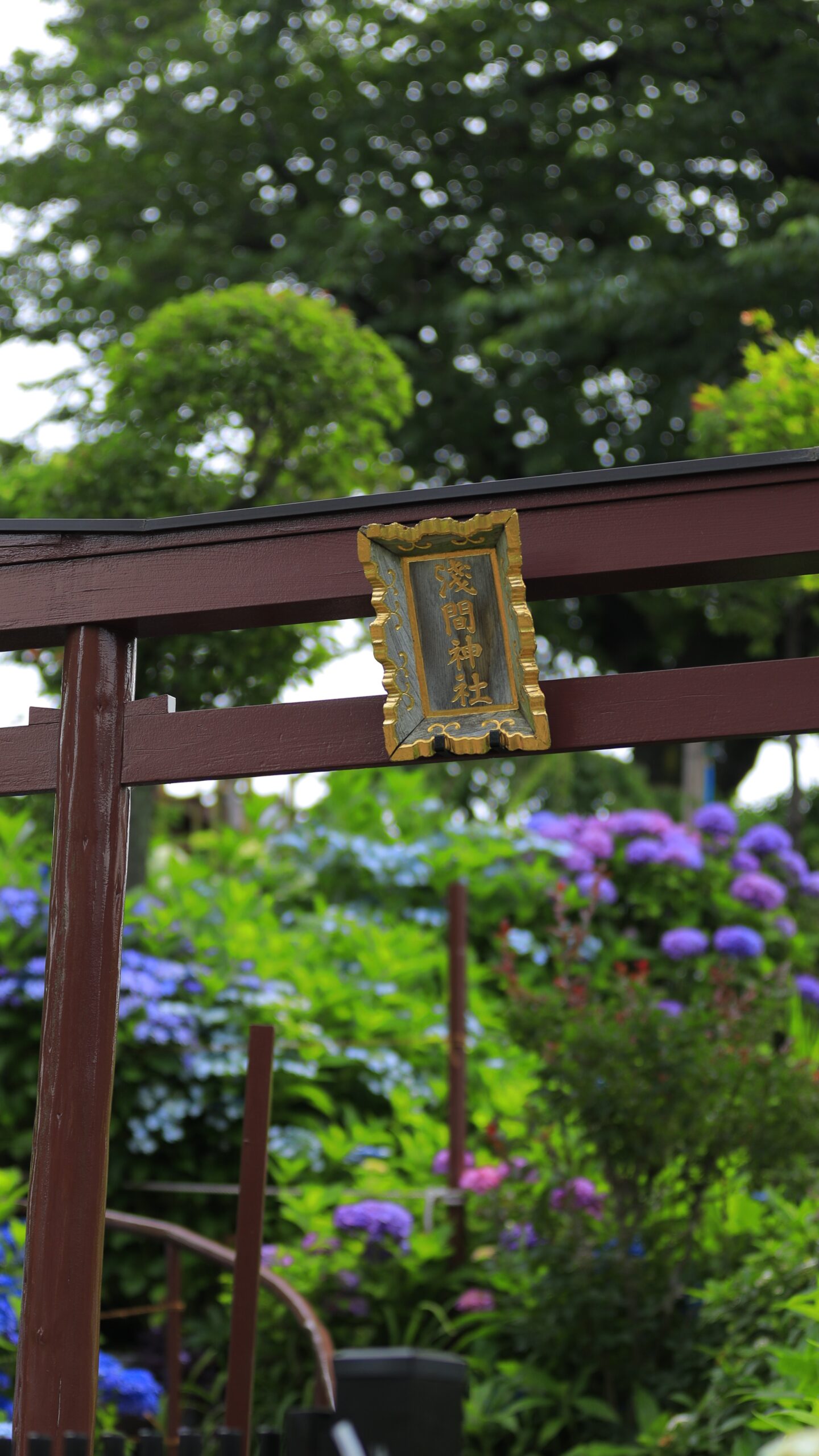 白山神社(文京区)にて、「富士塚と浅間神社」と感じた写真です。
