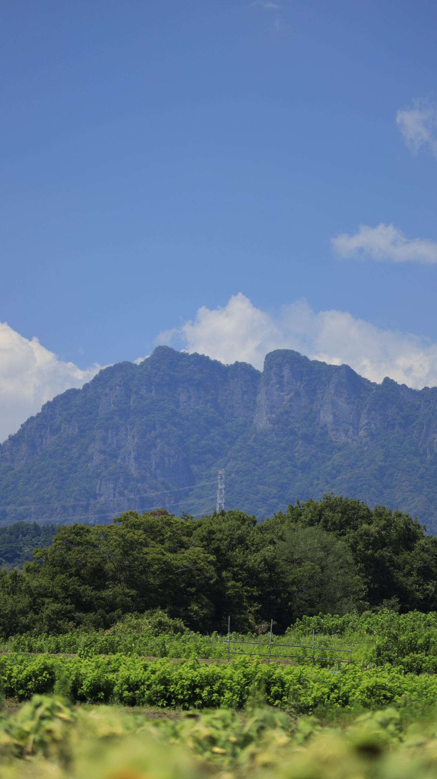 群馬県富岡市の丹生のひまわり畑近くで、雄大にそびえる妙義山(みょうぎさん)を撮影した夏の名残を感じる風景