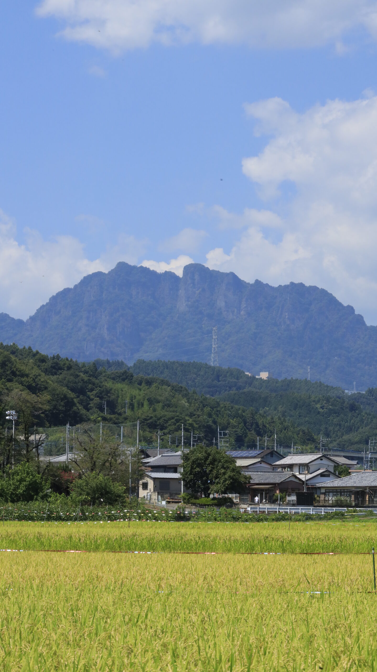 群馬県の妙義山を、稲刈り前の田んぼ越しに望遠レンズで撮影した山の迫力と田園風景の対比が美しい写真