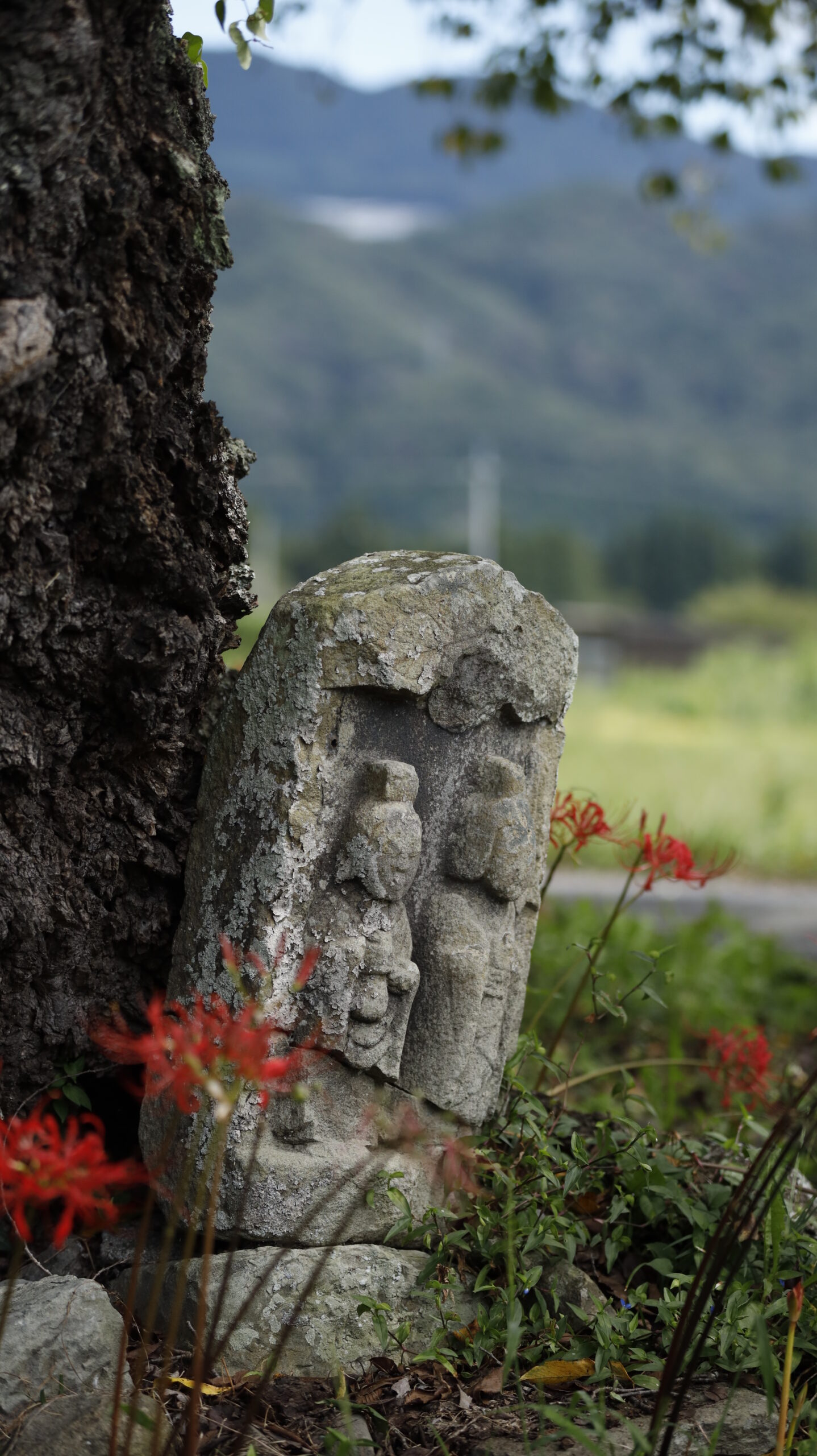 たくみの里「8番野仏」にピントを合わせ、周囲の彼岸花と対比した落ち着いた風景