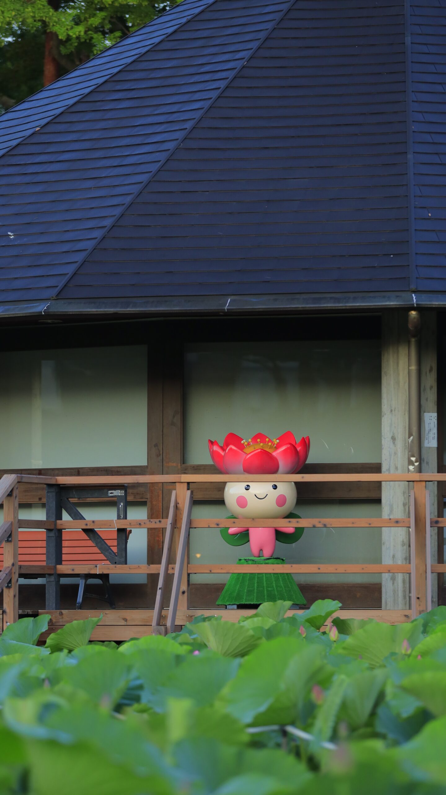 千葉公園の葉越しの「ちはなちゃん」
