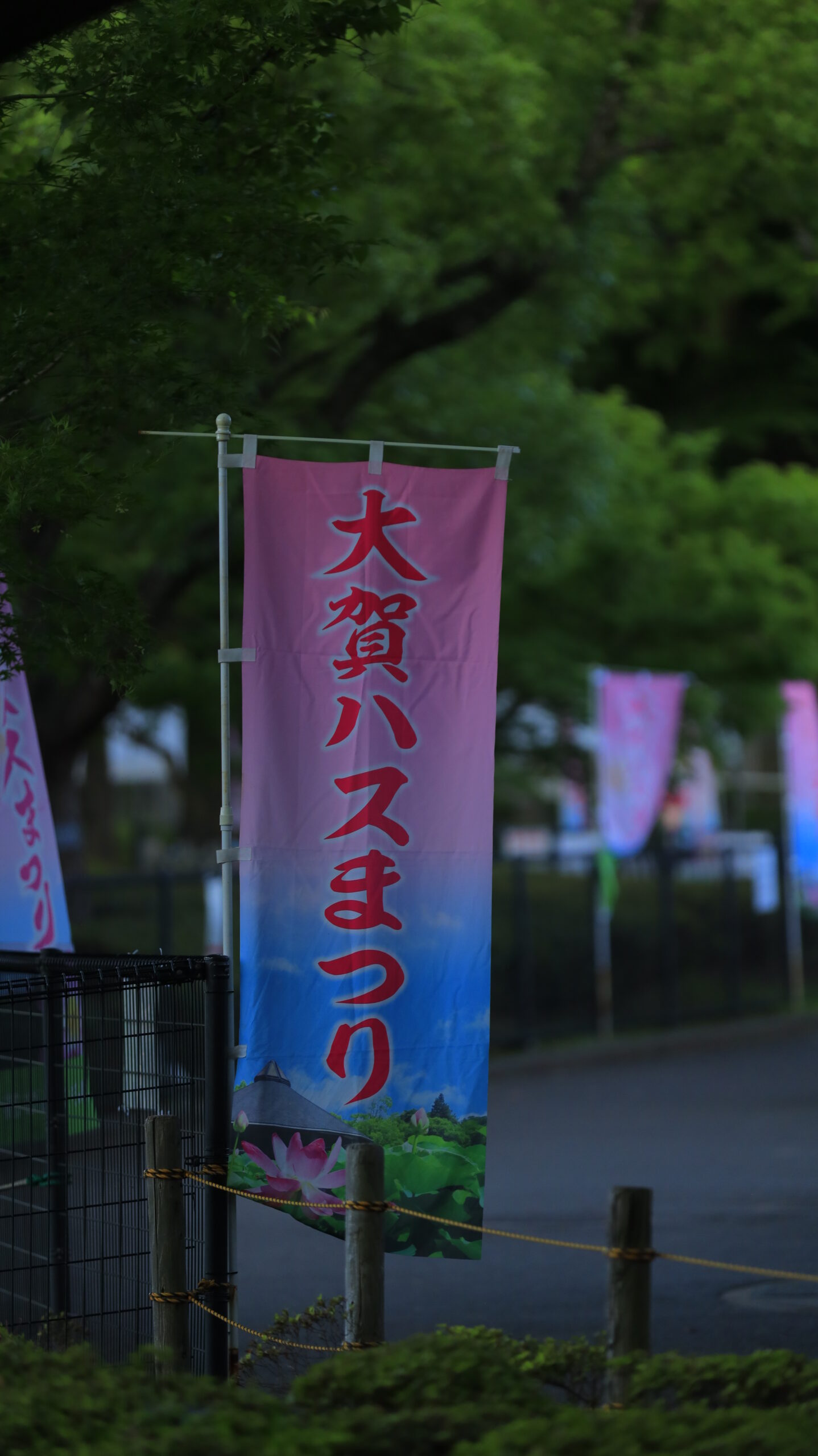 千葉公園の祭りの始まりを捉えた一枚