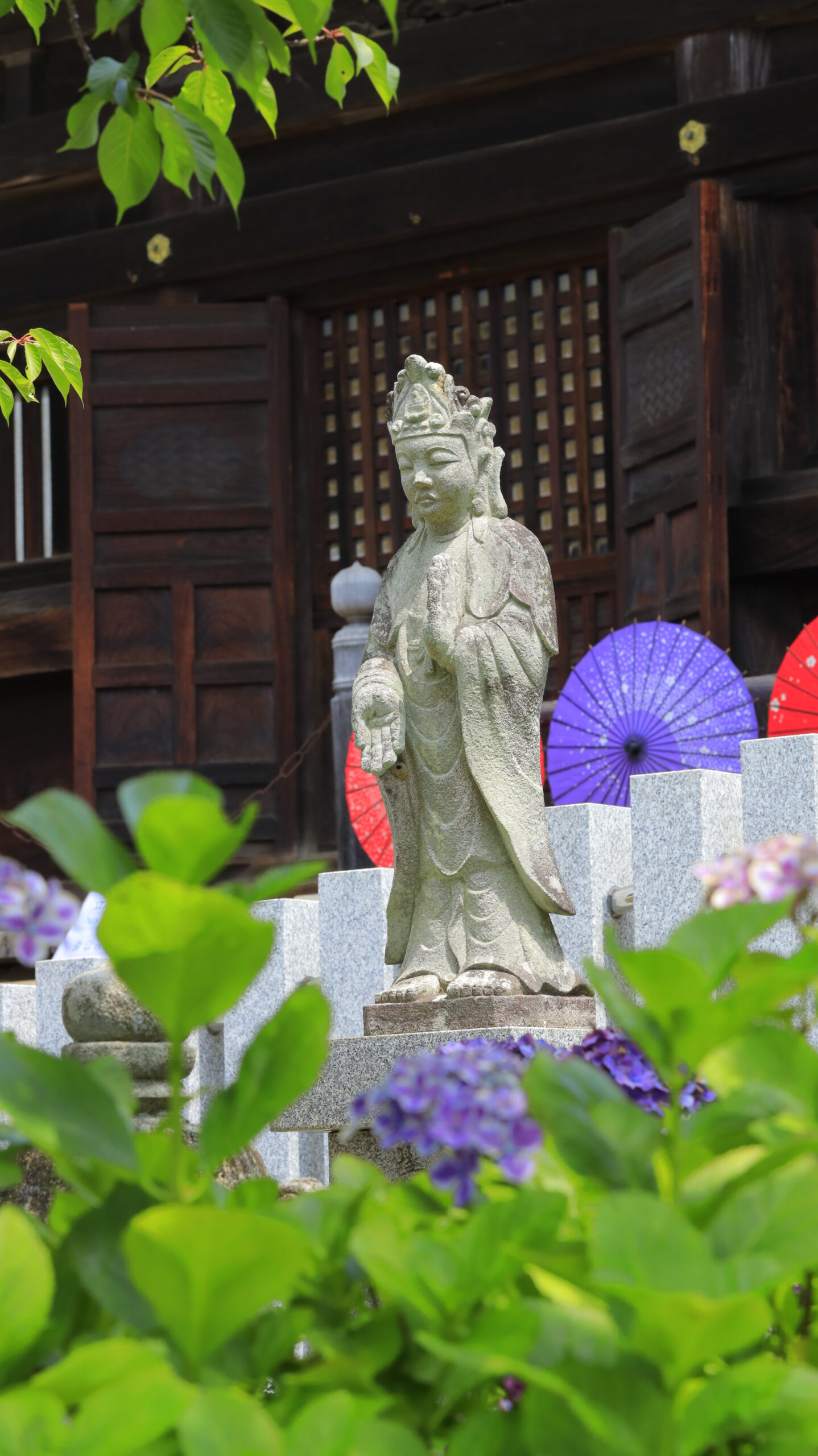 雨引観音(雨引山楽法寺)の紫陽花越しの仏像