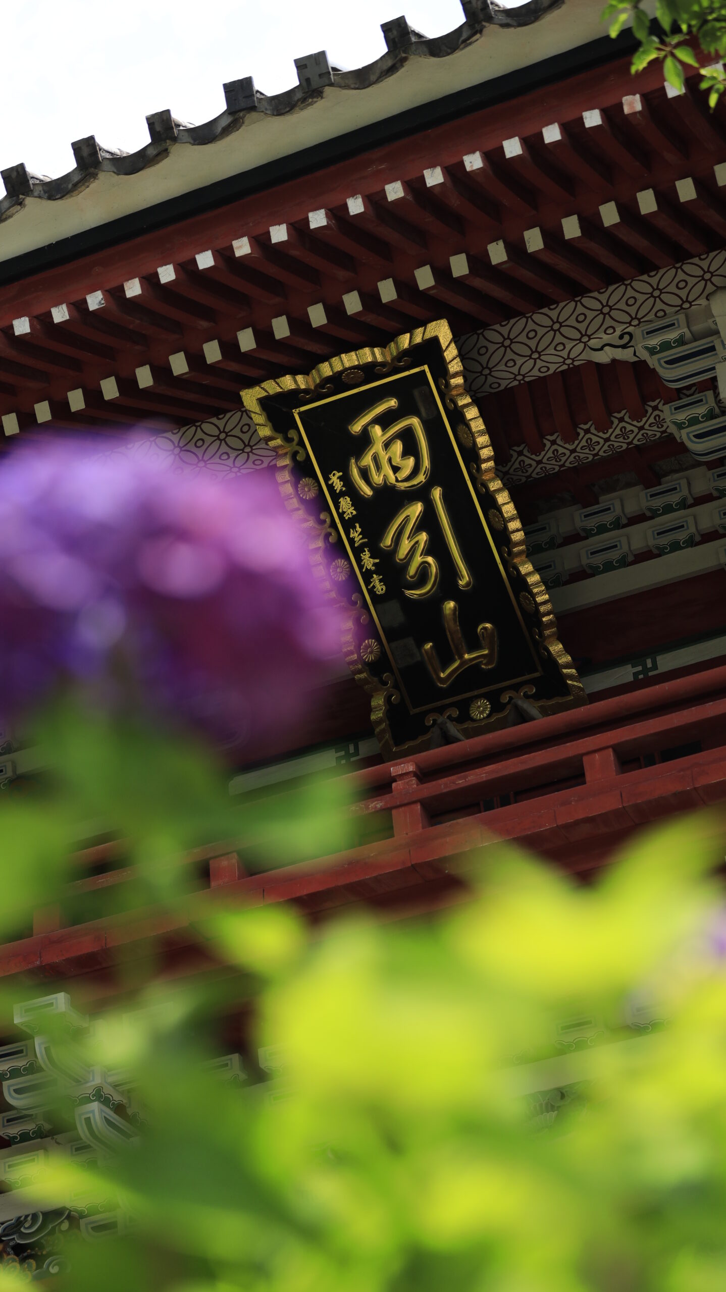 雨引観音(雨引山楽法寺)のピンクの紫陽花と門