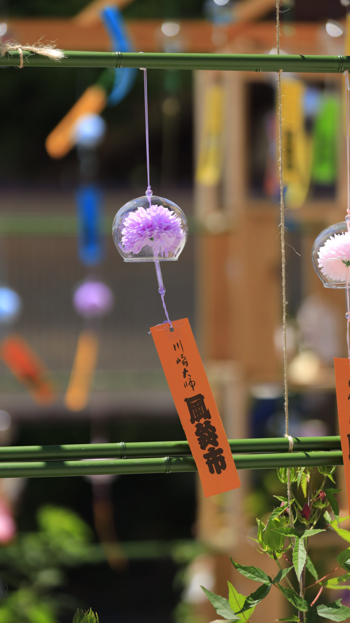 川崎大師の風鈴市でディスプレイに並ぶ風鈴が風に揺れる様子をとらえ、夏らしい音と動きを表現した一枚。