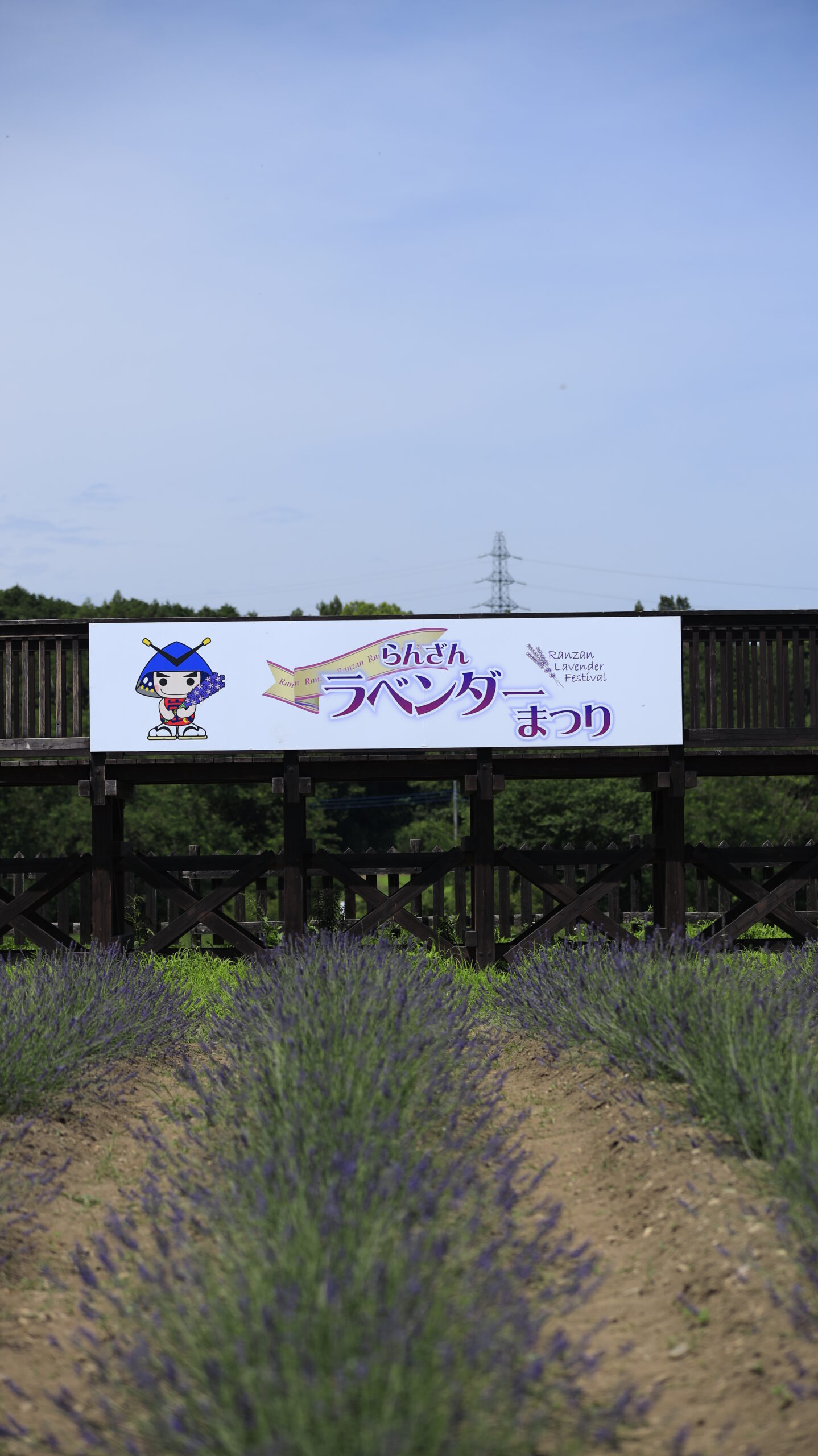 千年の苑ラベンダー園の看板とラベンダーの風景