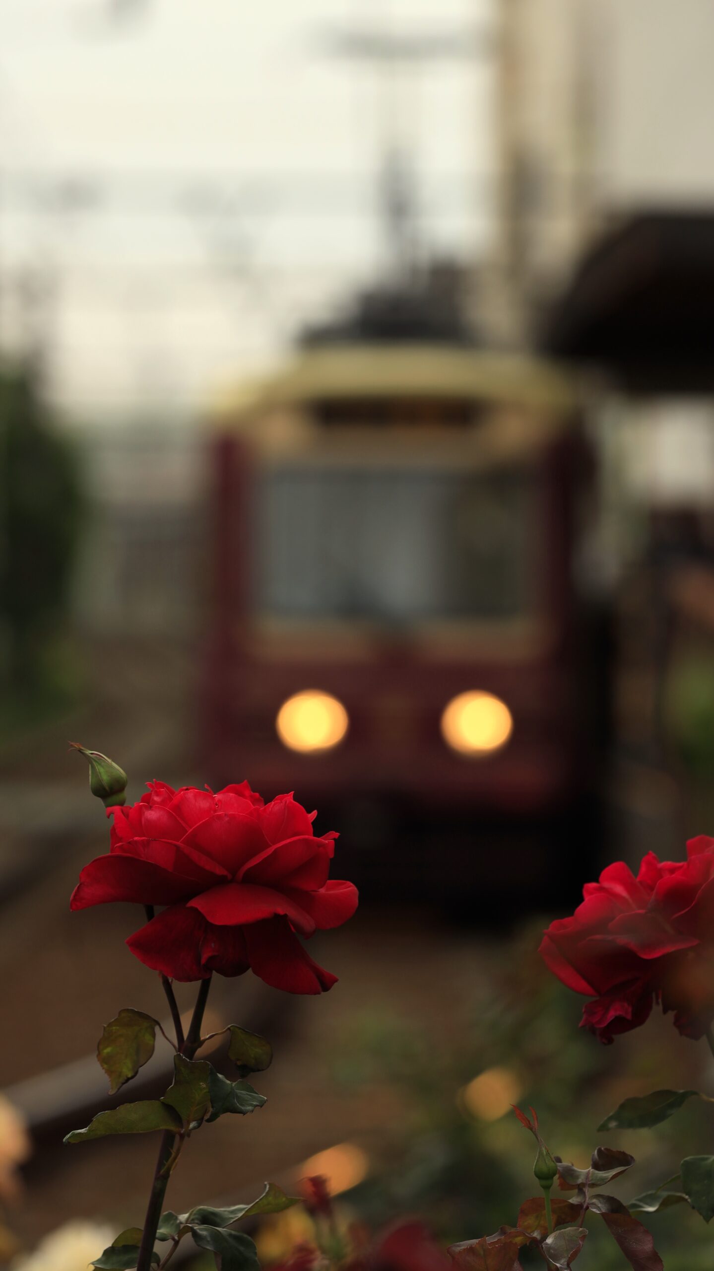 S7A7156
