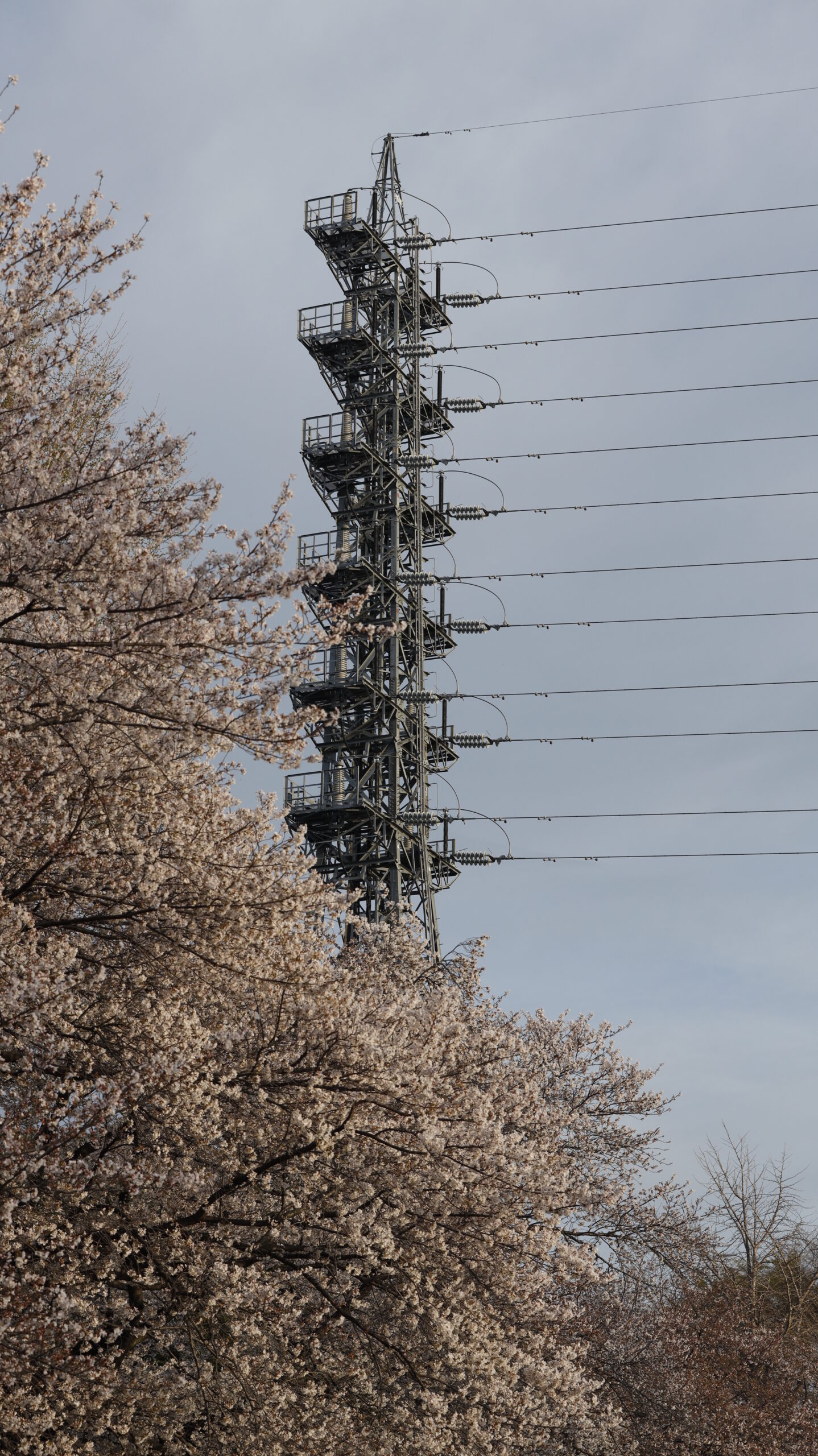 S7A7620_d