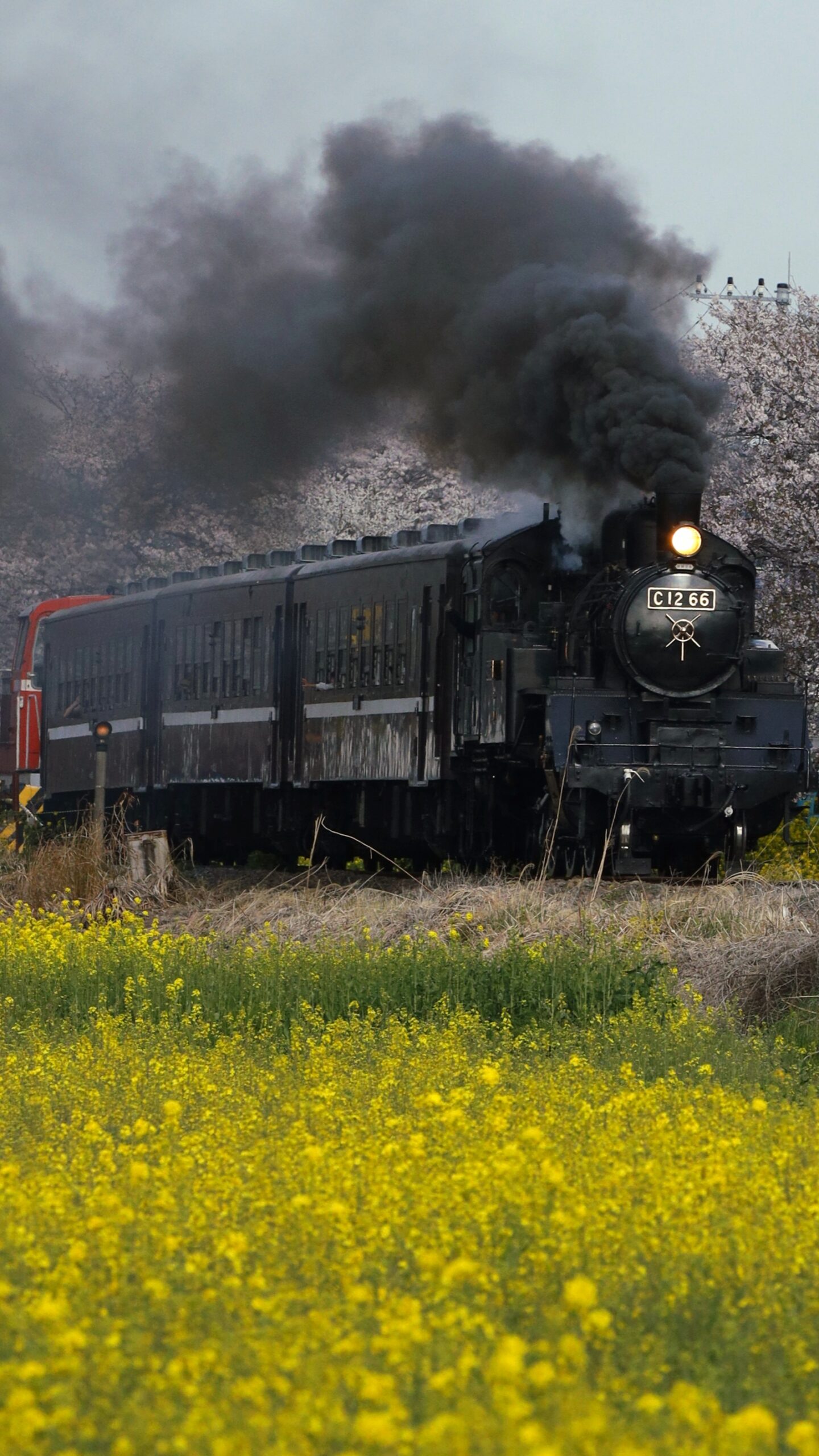 S7A9293_d