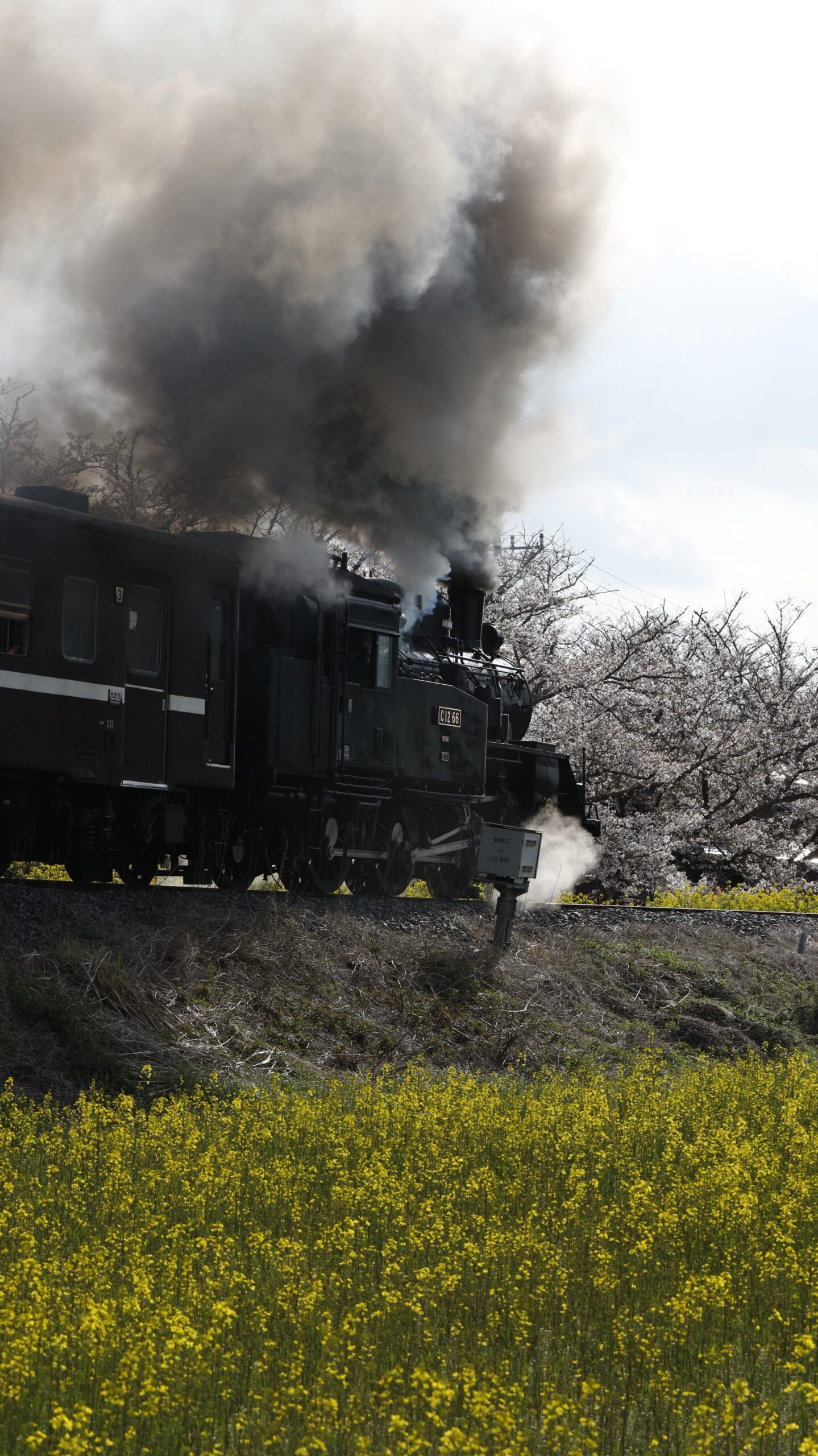 S7A9319