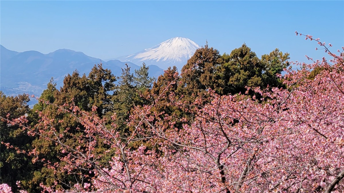 あぐりパーク嵯峨山苑