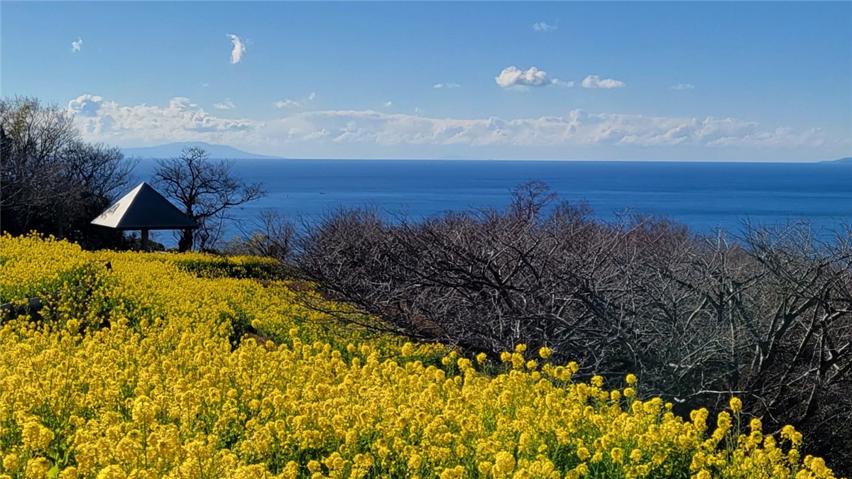 吾妻山公園