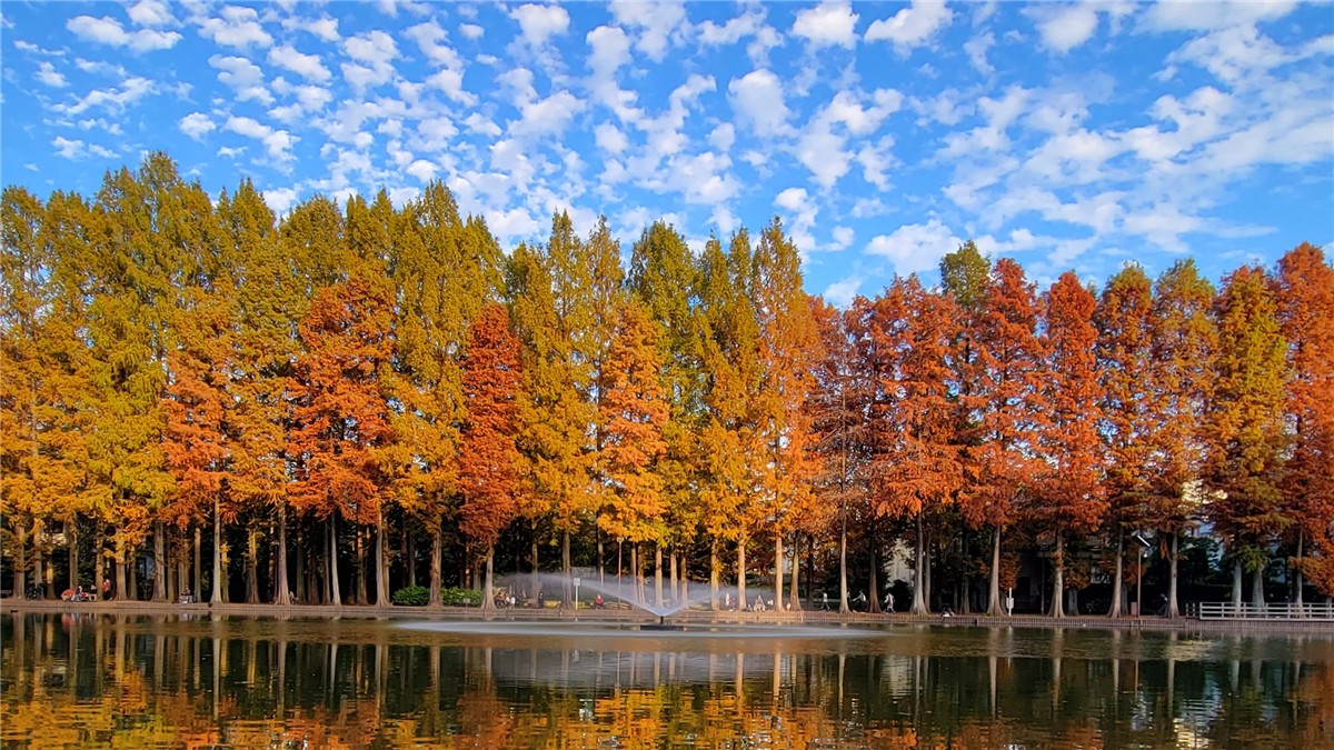 別所沼公園