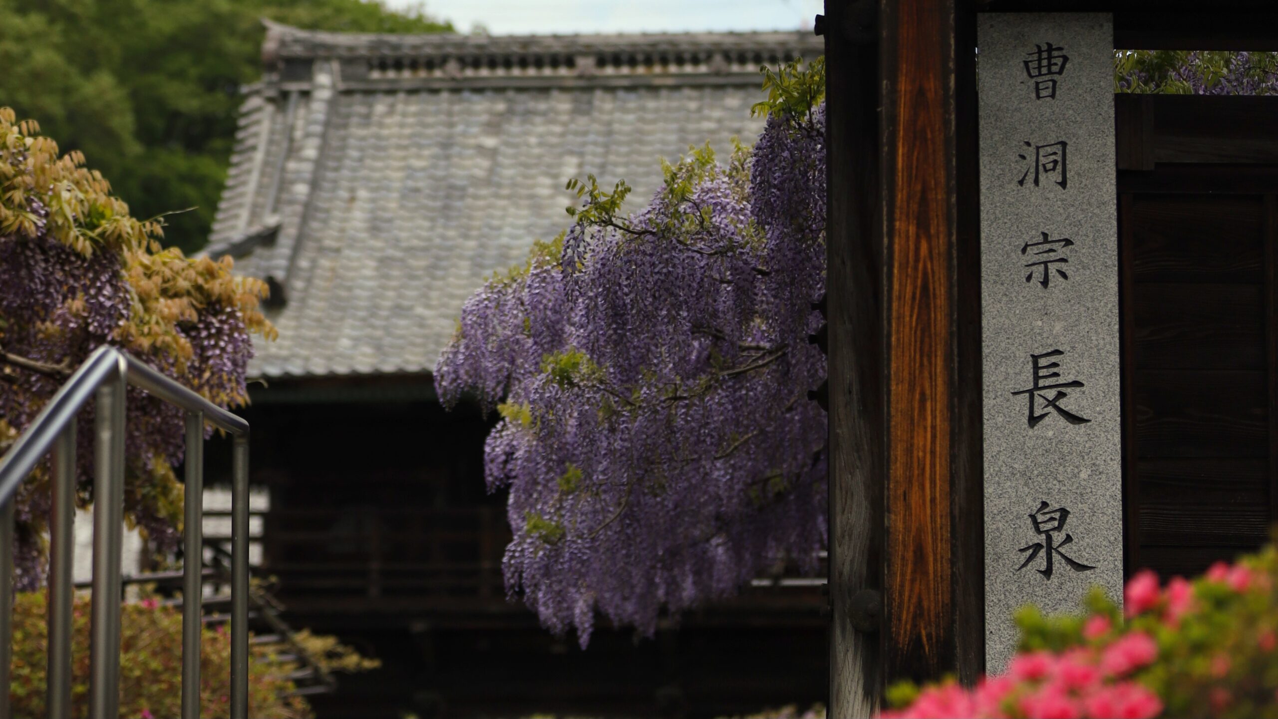 長泉寺（本庄市）