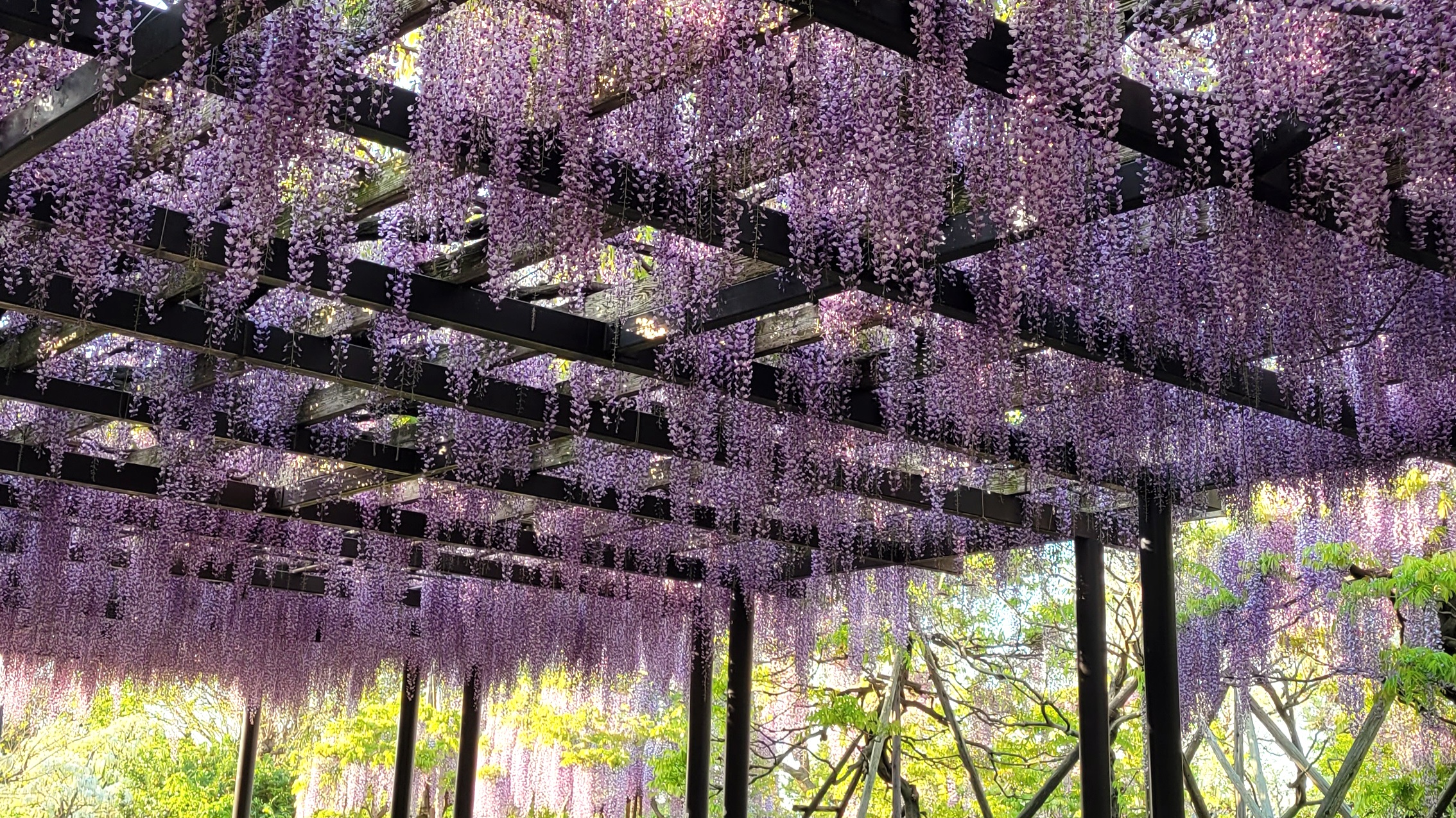 大天白神社（羽生市）