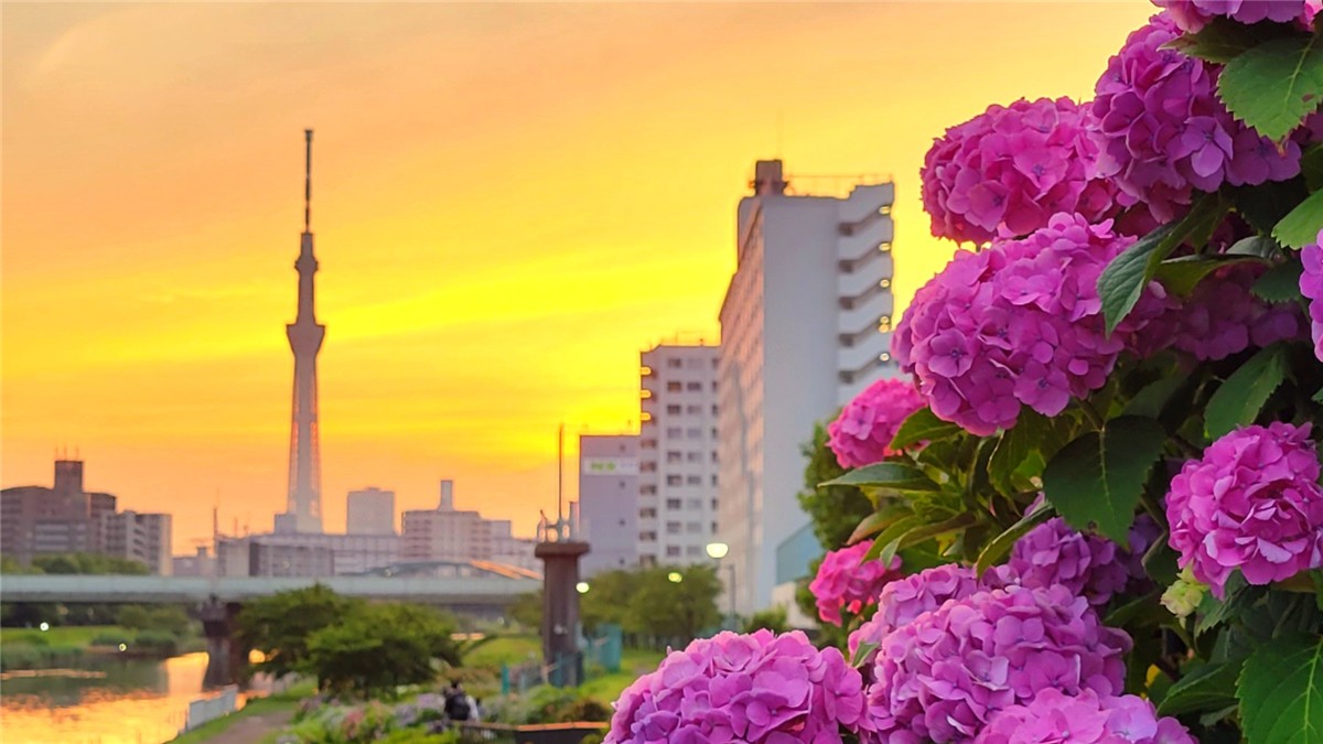 ふれあい橋の絶景