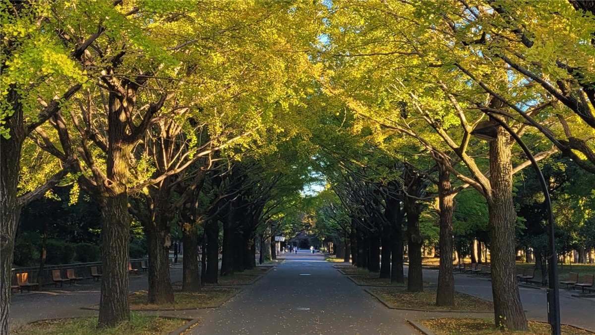 光が丘公園