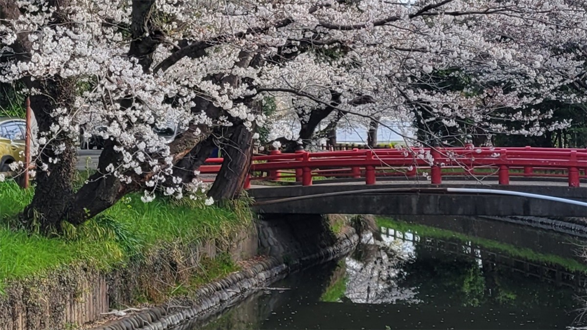 氷川女體神社