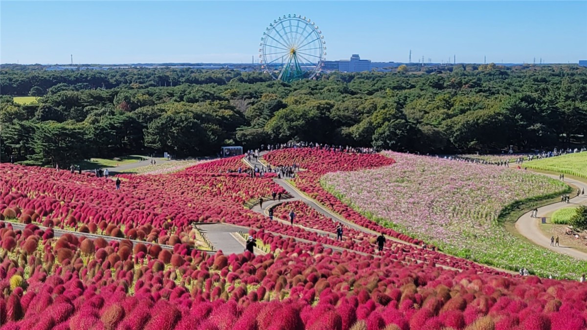 茨城県の人気・撮影スポット