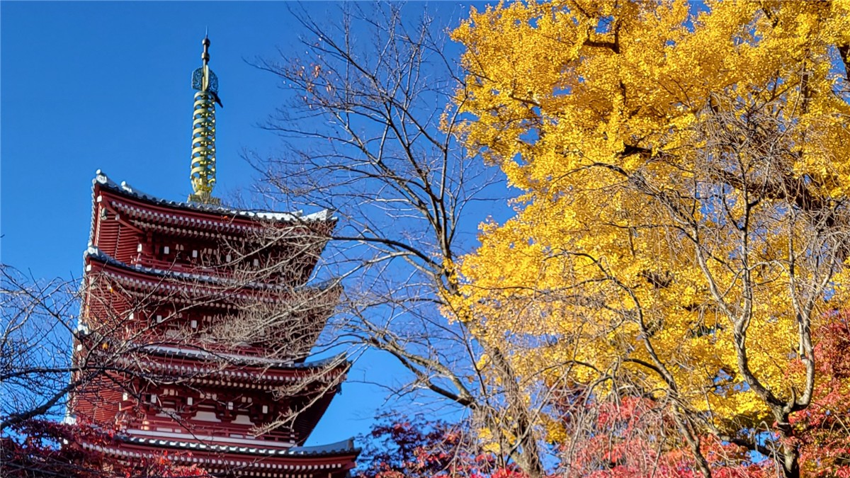 本土寺