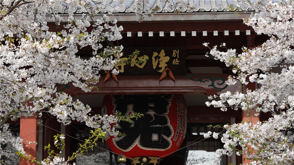 浄心寺（文京区）