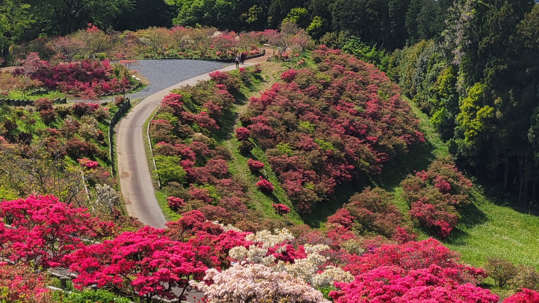 笠間つつじ公園