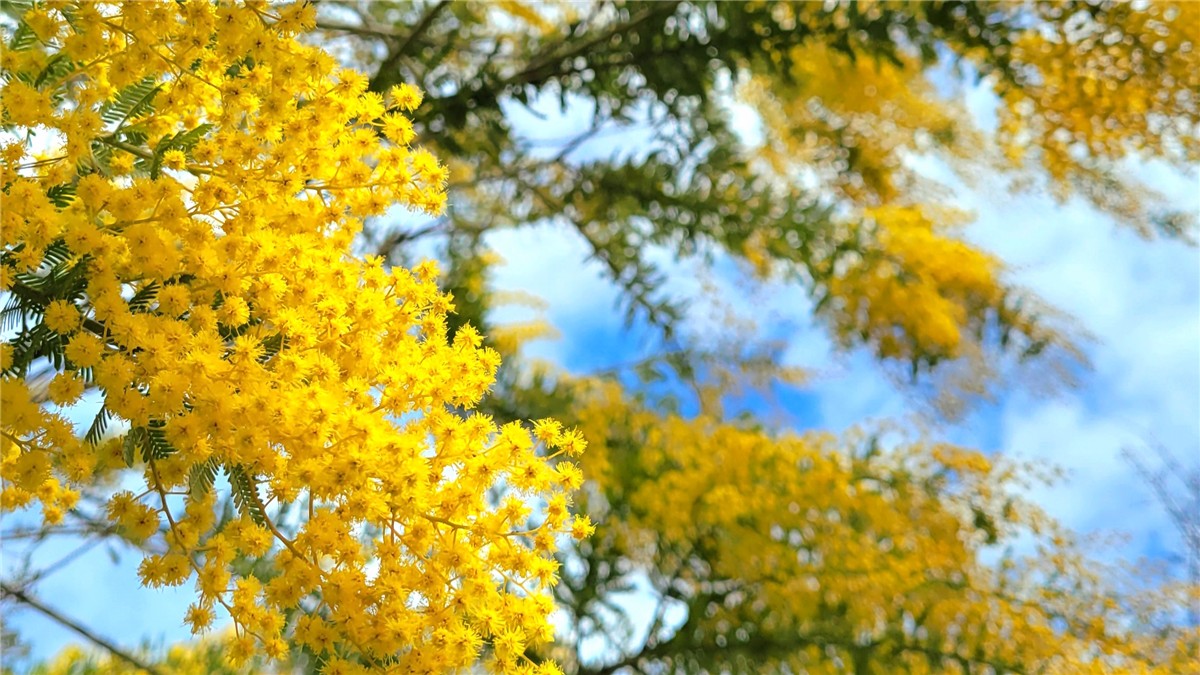 木場公園