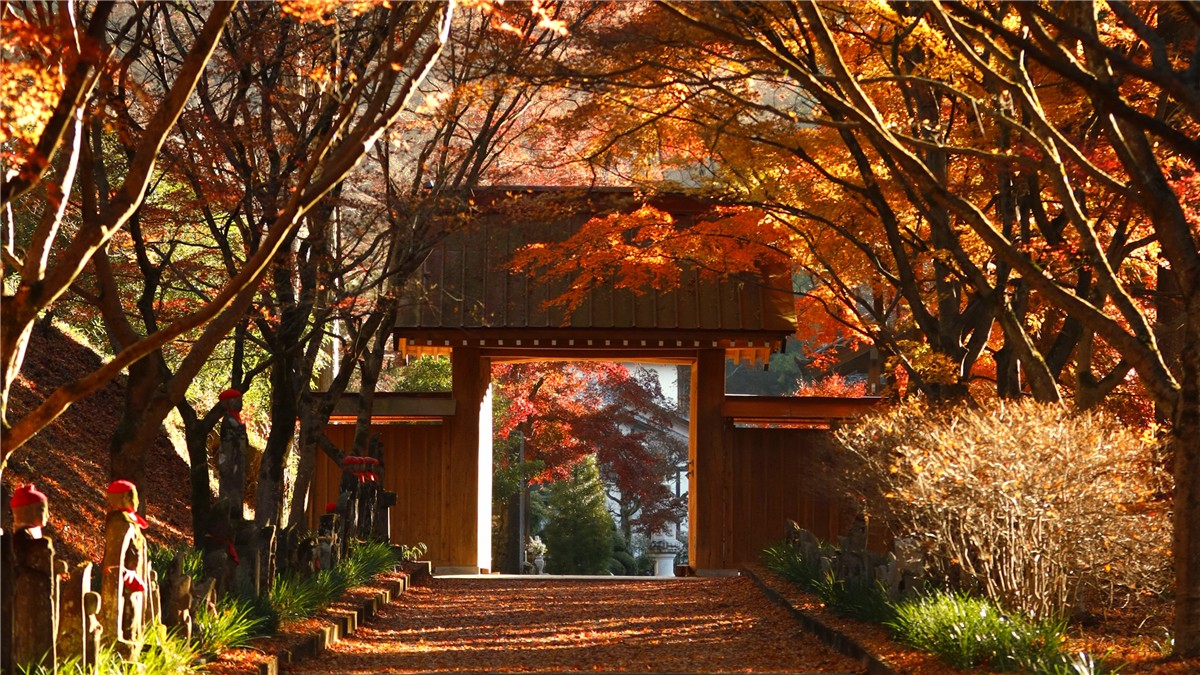 金蔵院