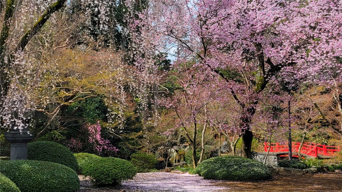 喜多院