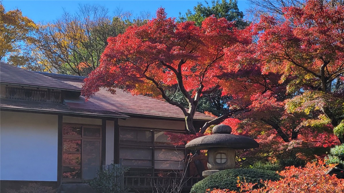 小石川後楽園