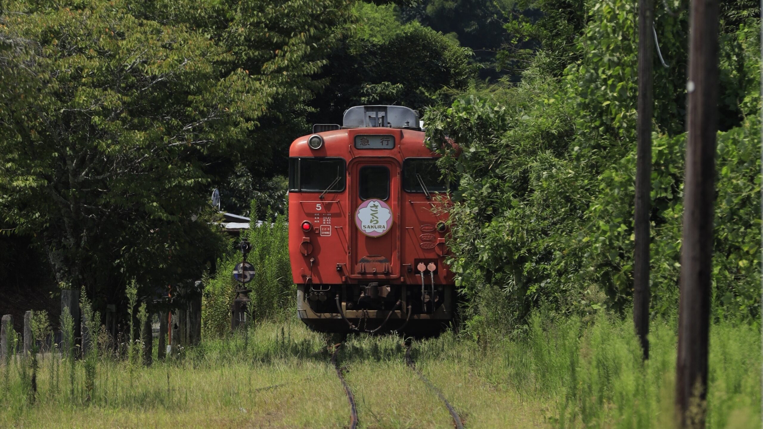 小湊鉄道の絶景