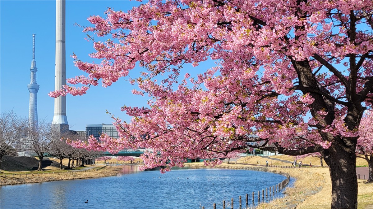 旧中川水辺公園