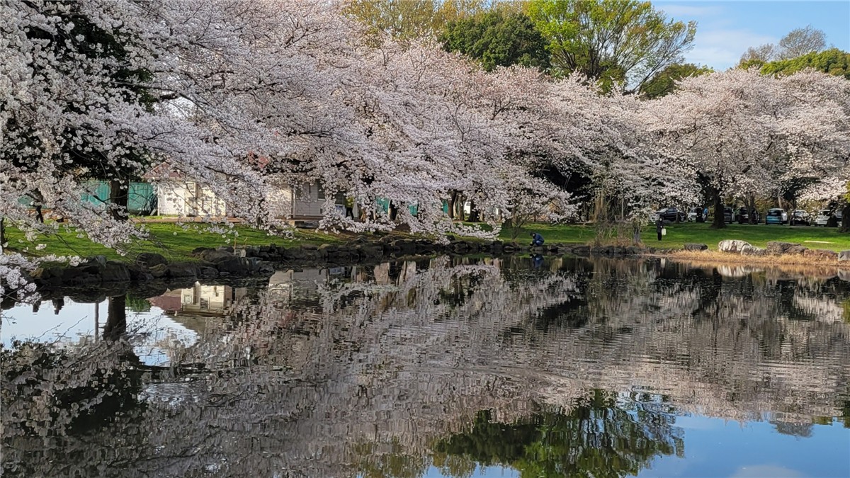 見沼氷川公園