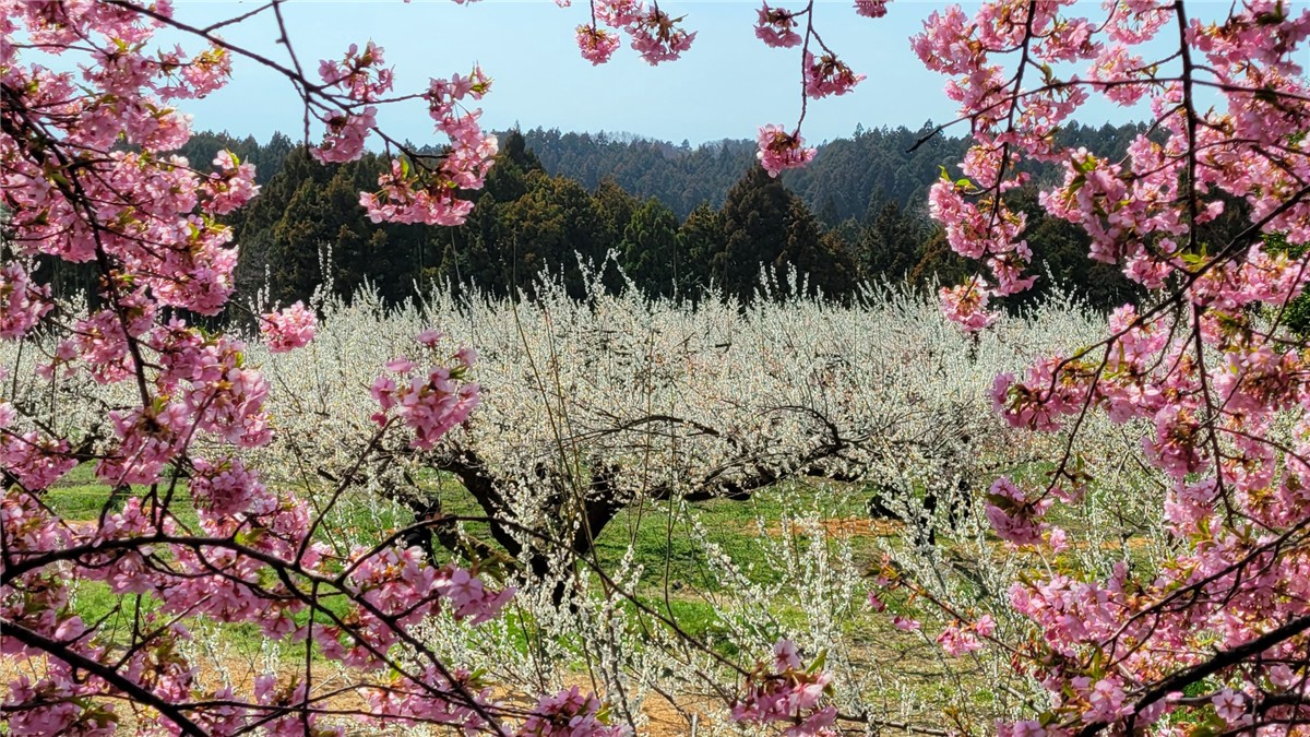 群馬県の人気・撮影スポット