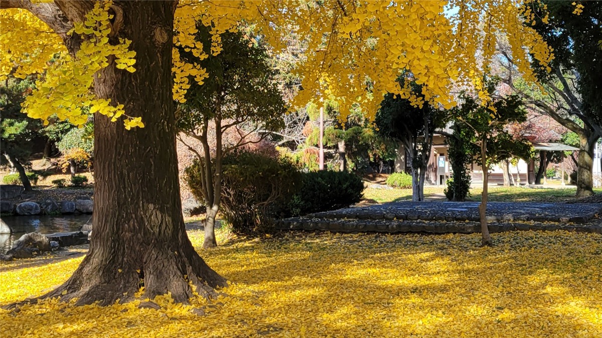 水城公園
