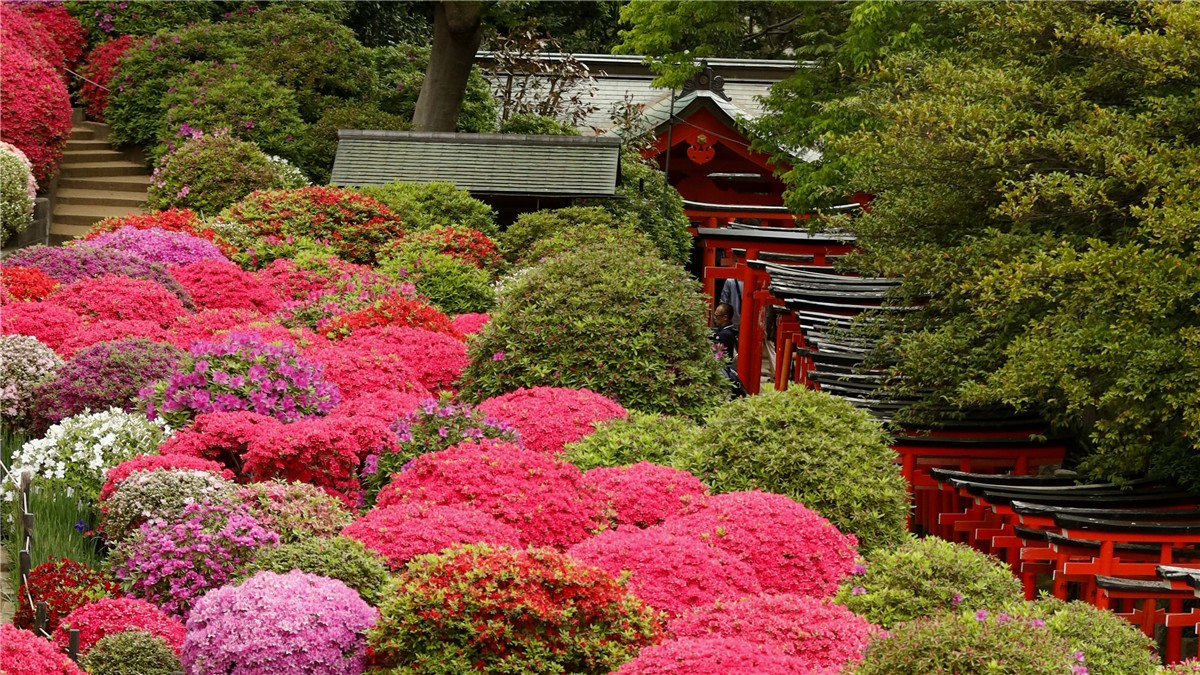 根津神社